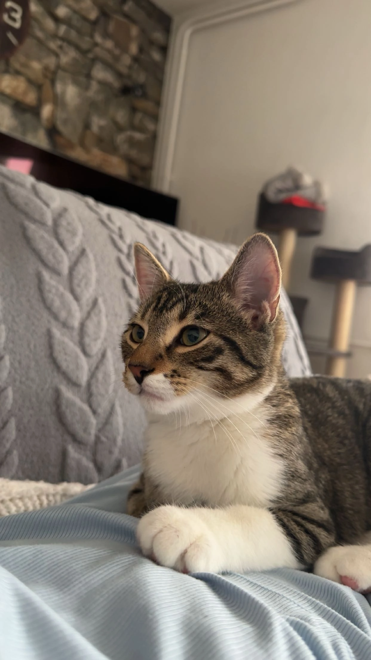 lucky - Neustrasse, Romanshorn