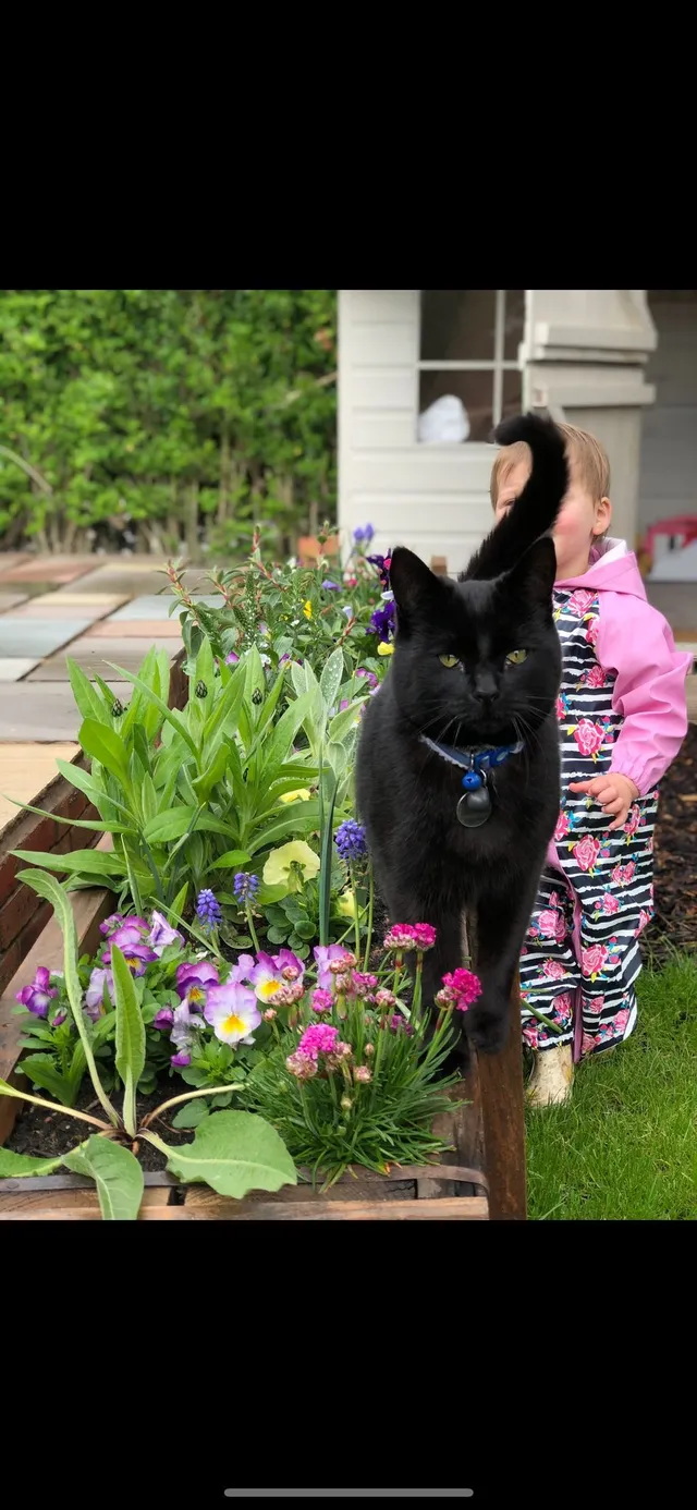 Binky - ST5 0, Newcastle-under-Lyme