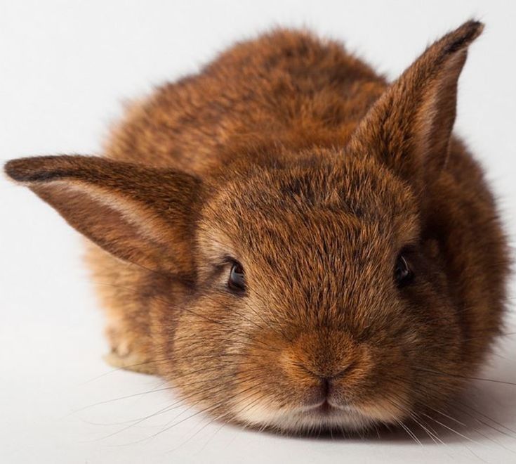Flöckchen - Zum Sportplatz, Niestetal