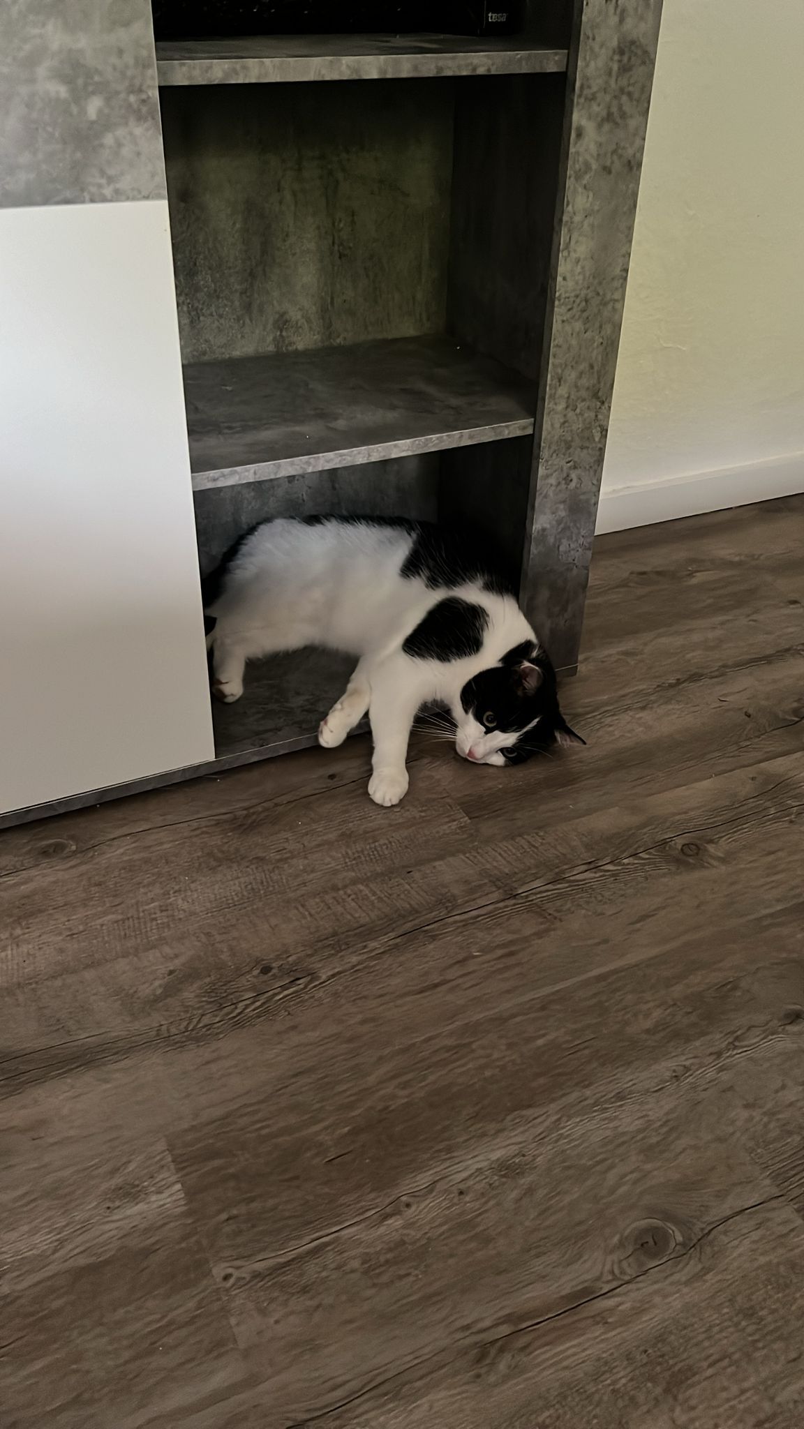 Karlchen - Gerberweg 11, Preetz