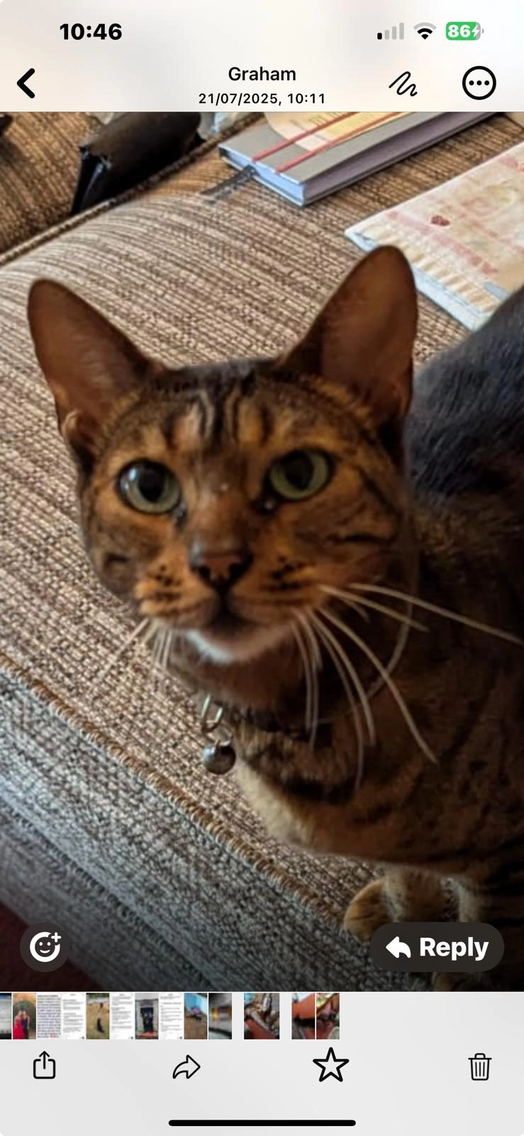 Bella - Burma Close, King's Lynn