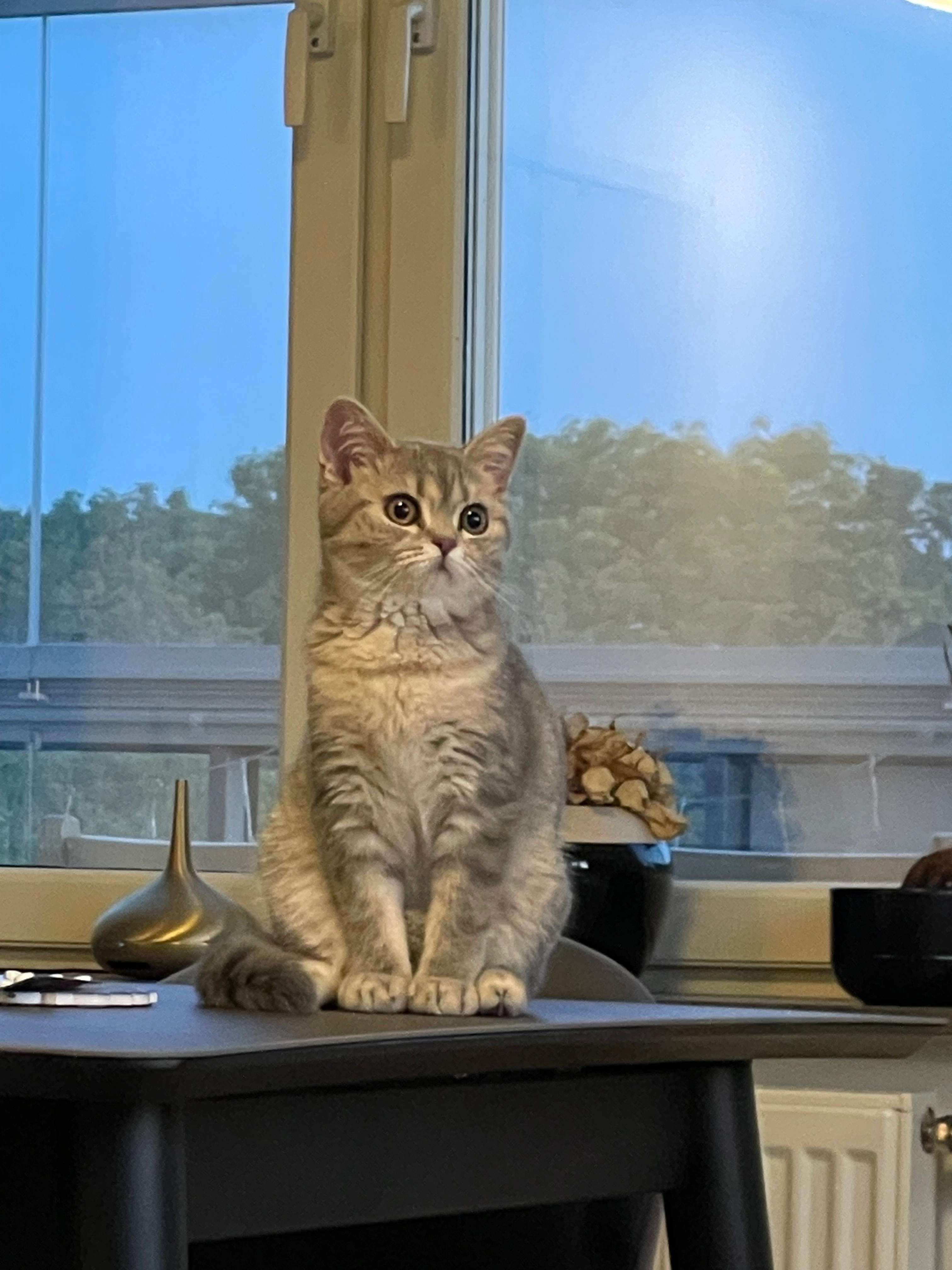 Adas - Tunnlandsvägen 87, Stockholm