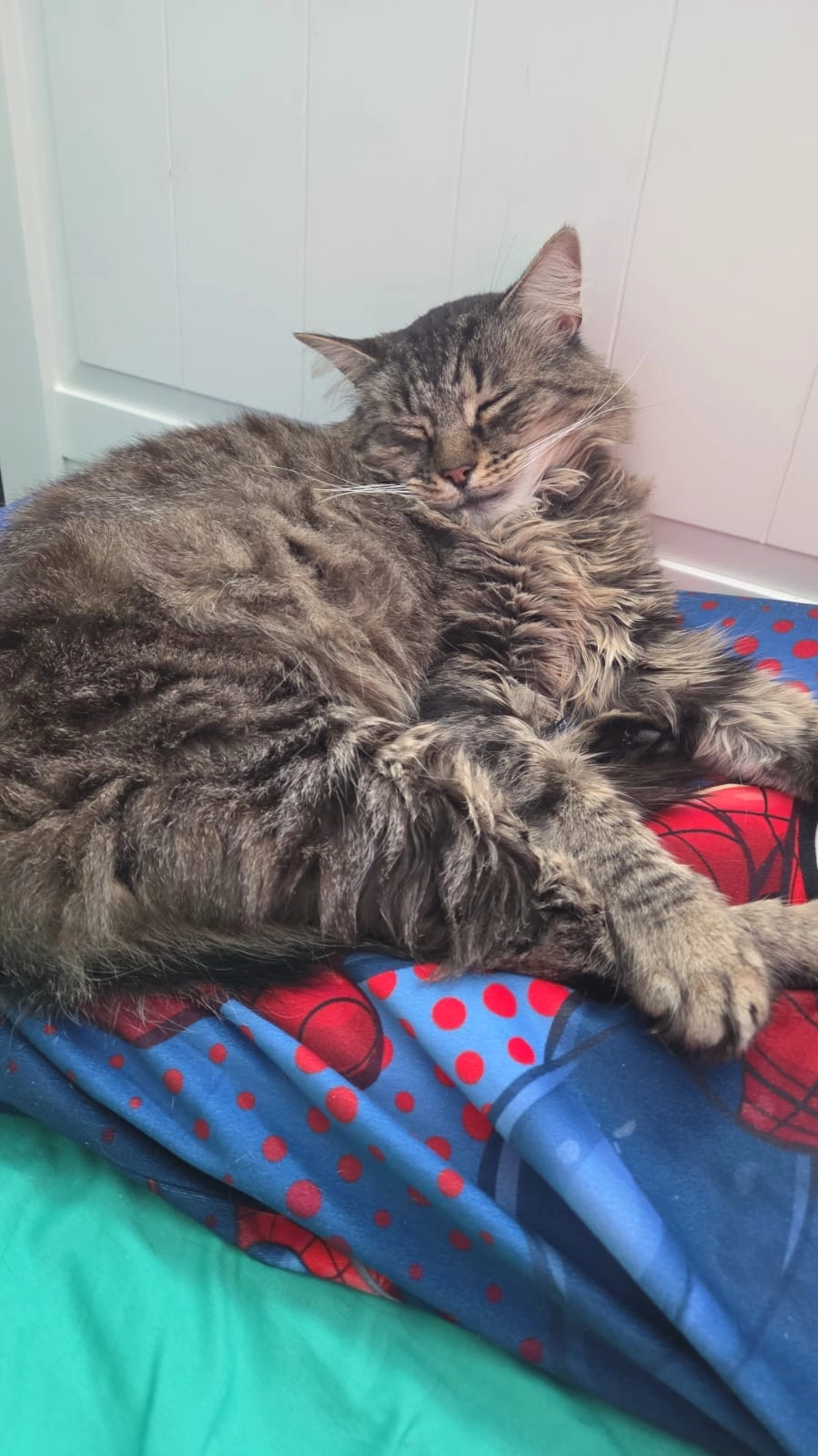 Angel - Burford Way, Hitchin