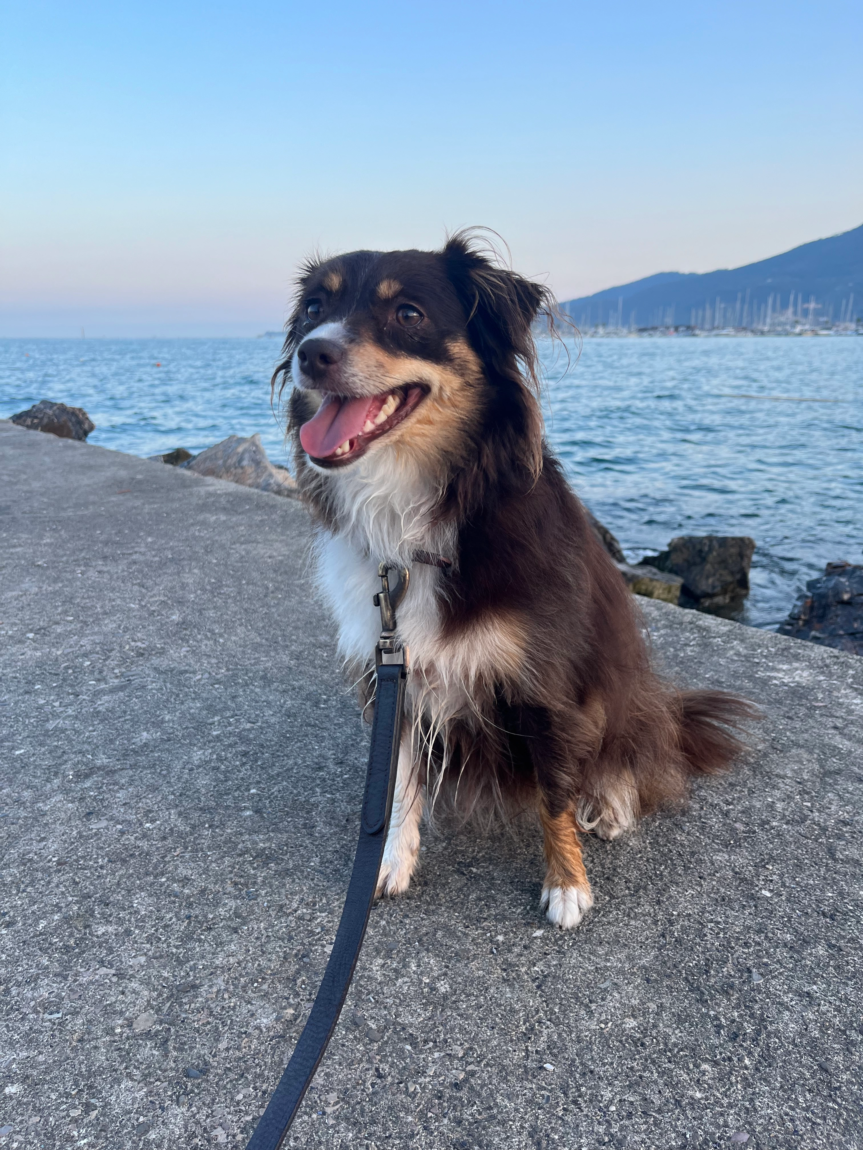 Lilo - Rue du Champ Bernard, Charleroi