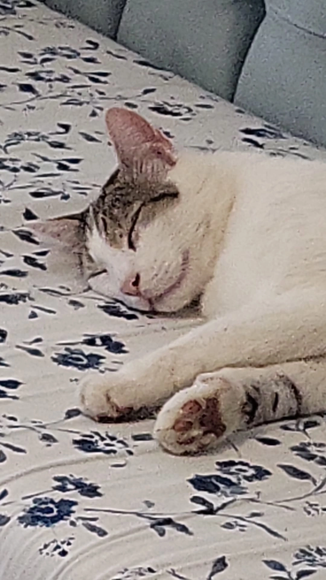 Yumak - Rue du Broeck, Anderlecht