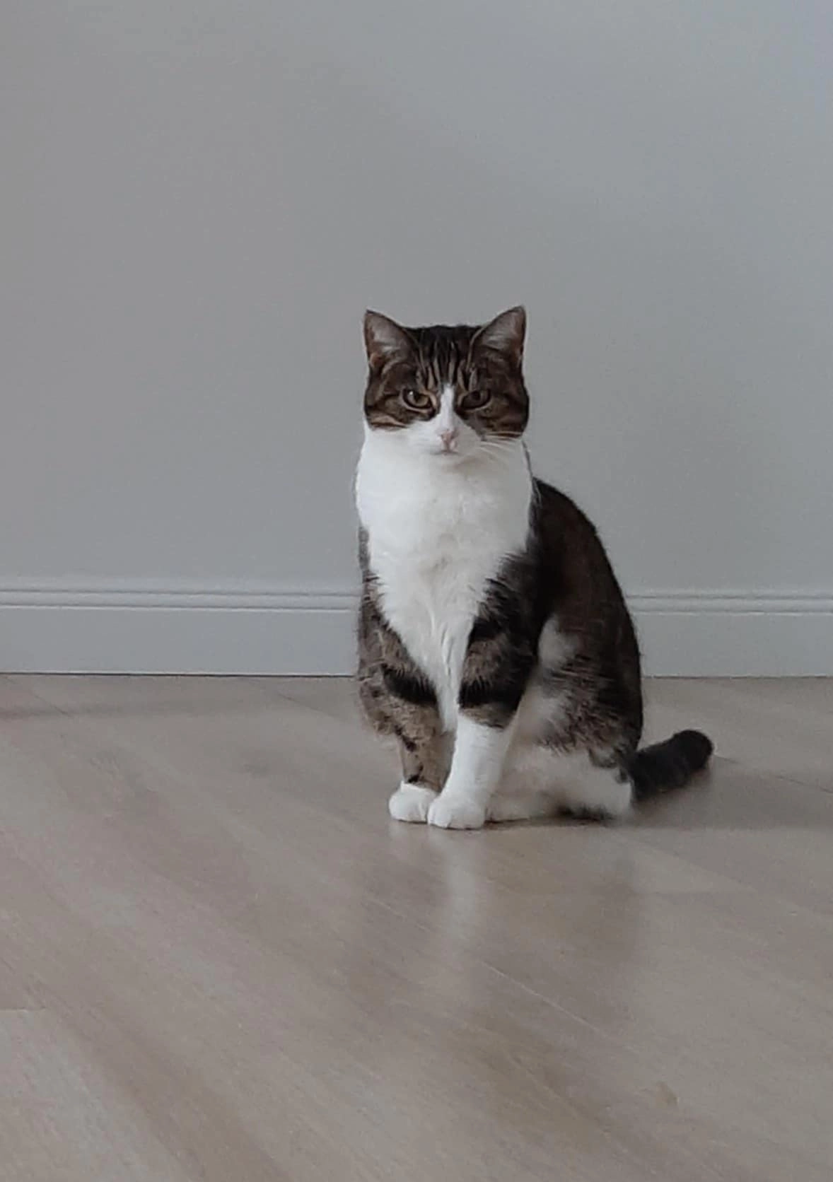 Saartje - Poerbusstraat, Ardooie