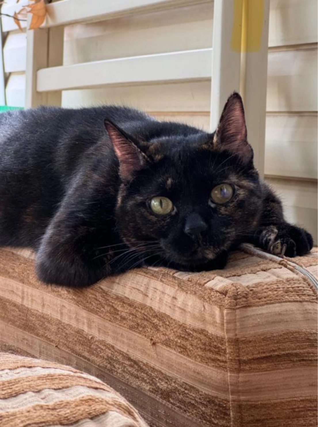 Bannout - Alyos 16, Athina