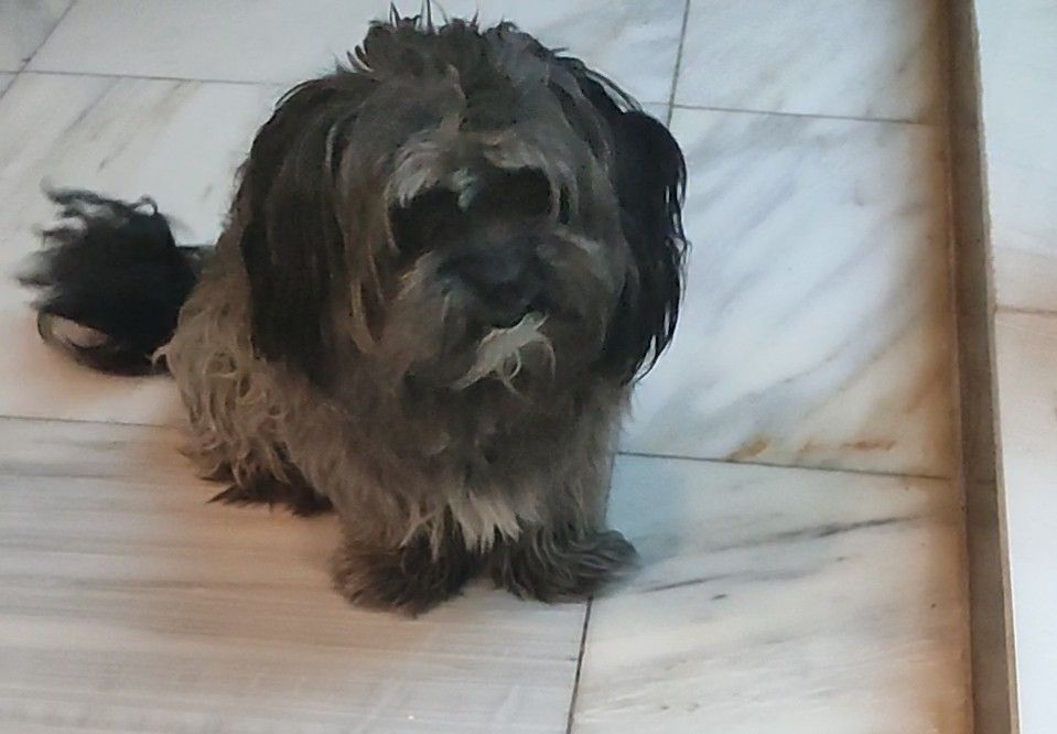 Kollah  - Al Mansur, Baghdad