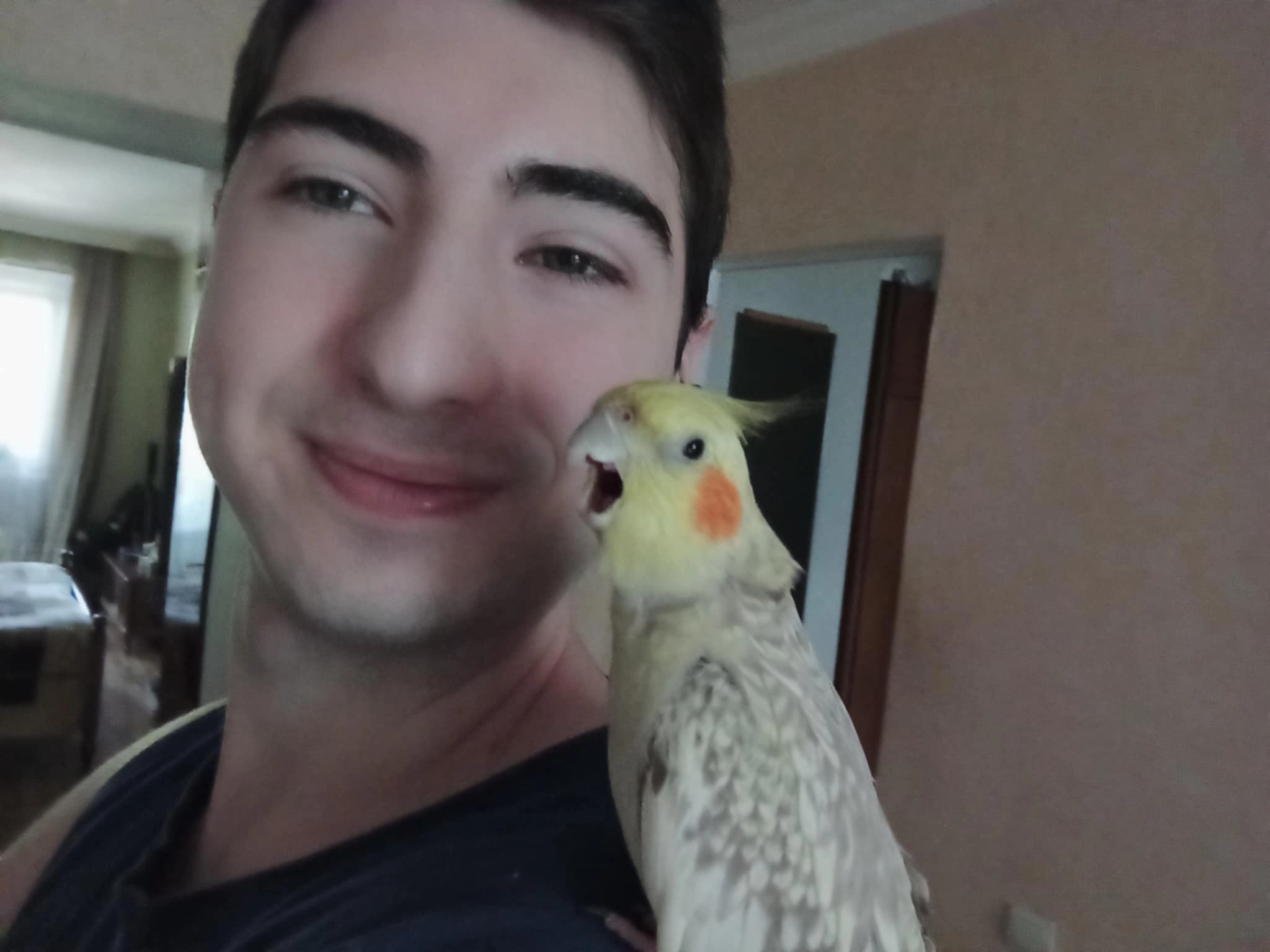 Antoshka - Navtlughi-2 (Moscow avenue 49), Tbilisi