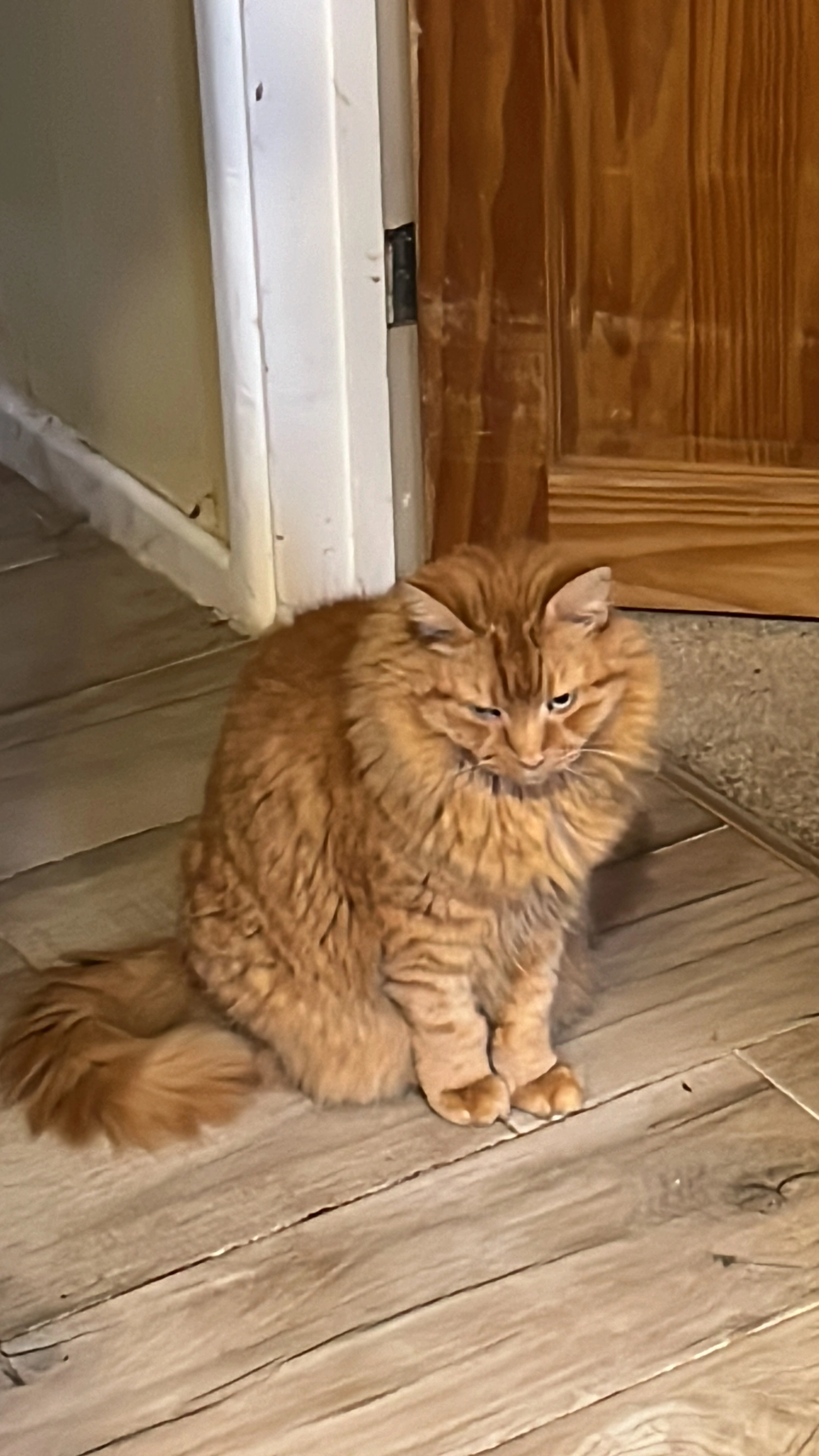 Murphy - Oxford Road, Oxford