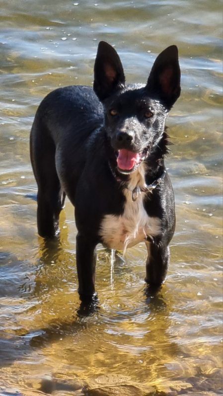 Tika - Impasse Louis Maurel, Pechs-de-l'Espérance