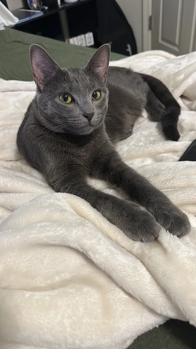 kiki - Commons Drive, Mount Pleasant