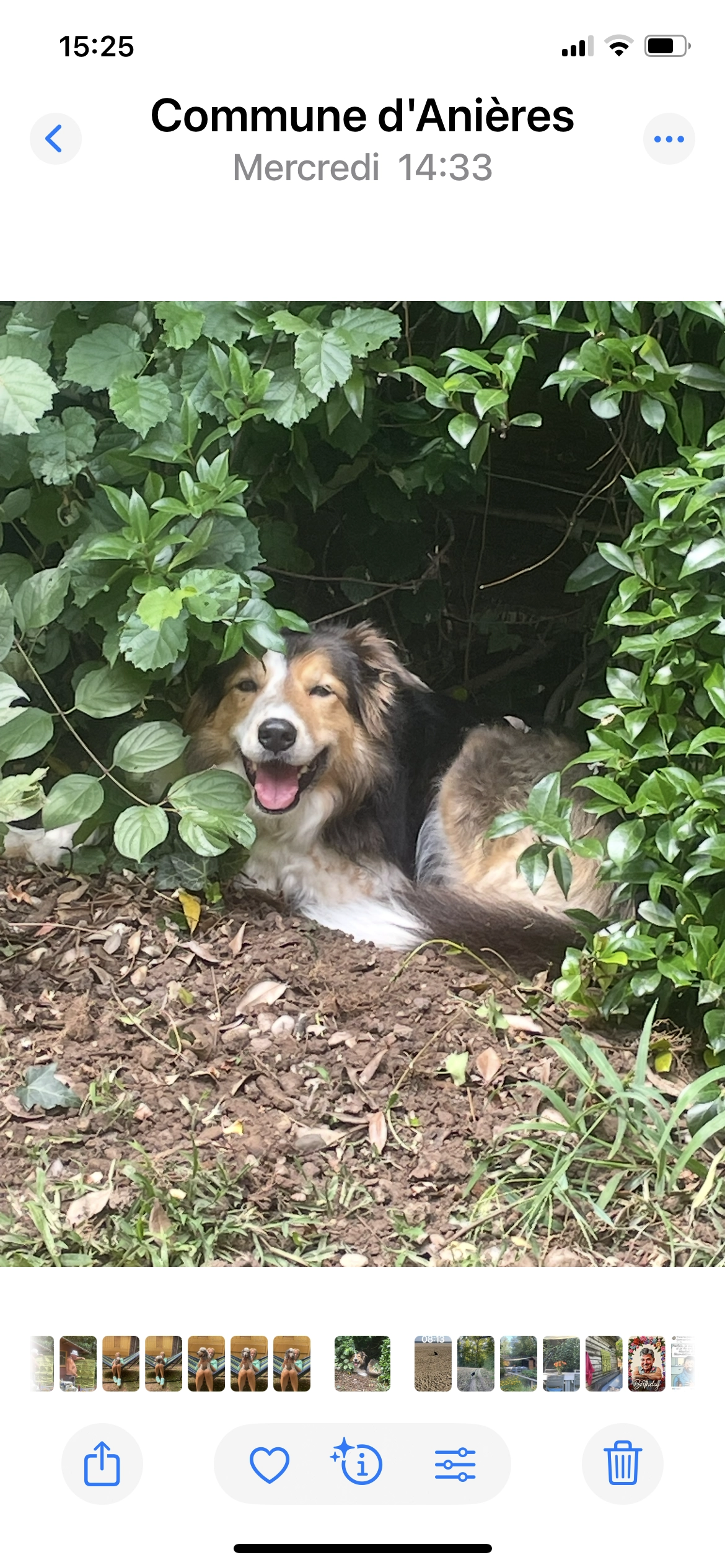 Jim - Chemin de Boret, Anières