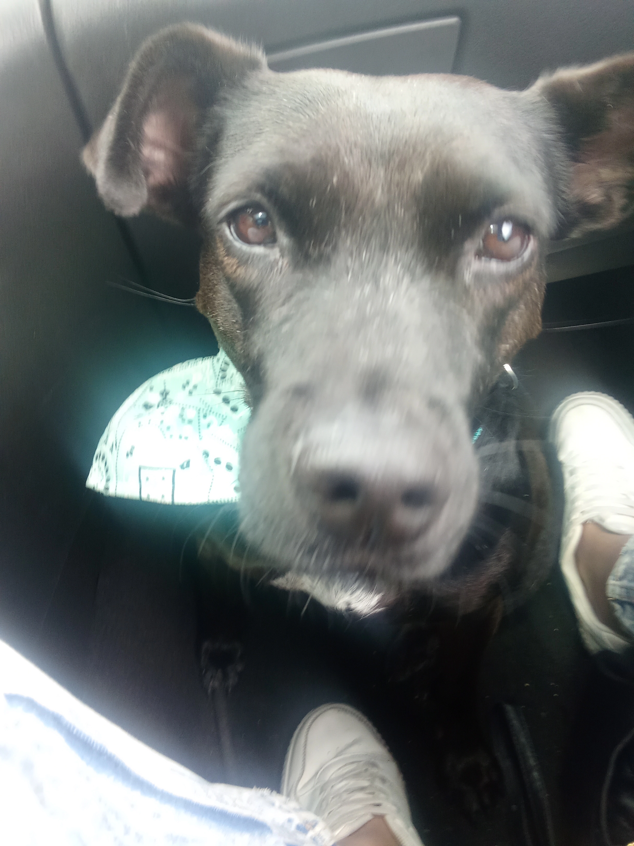 Cricri - Promenade des Anglais, Nice