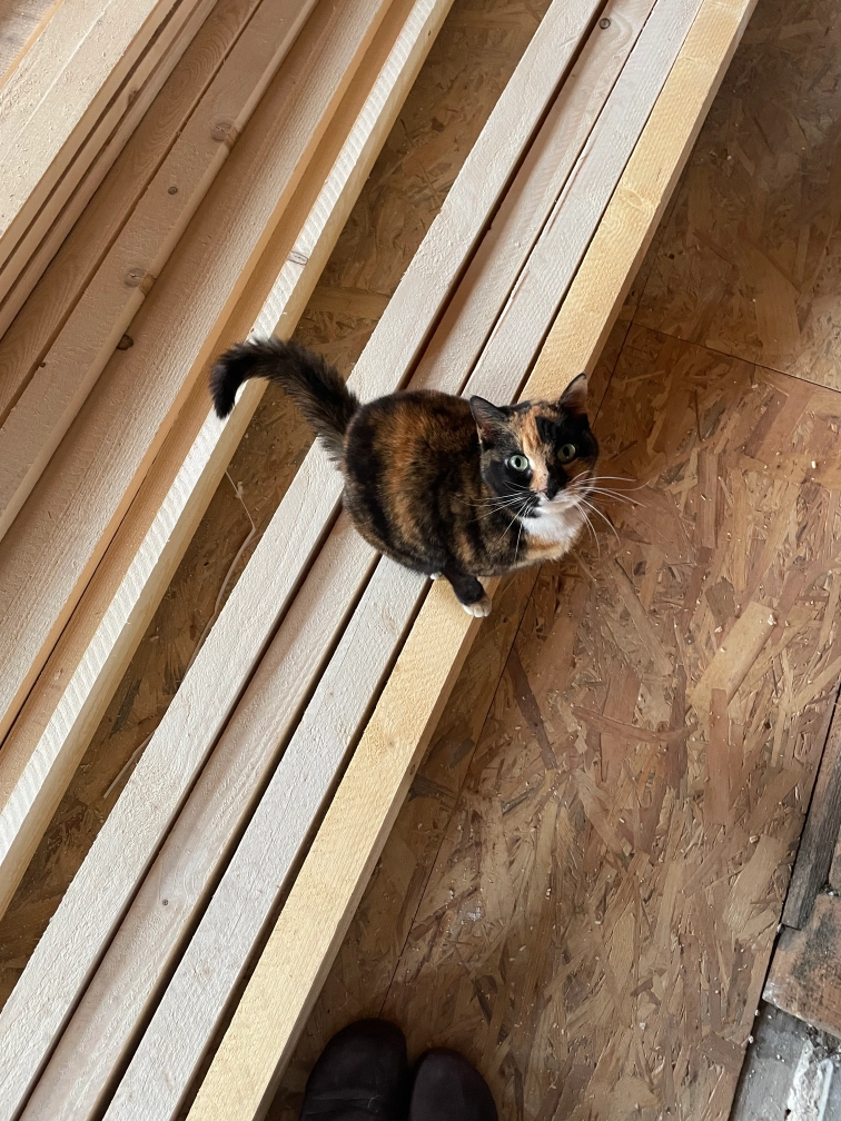 April - Rue de l'Ancien-Comté 64, La Tour-de-Trême