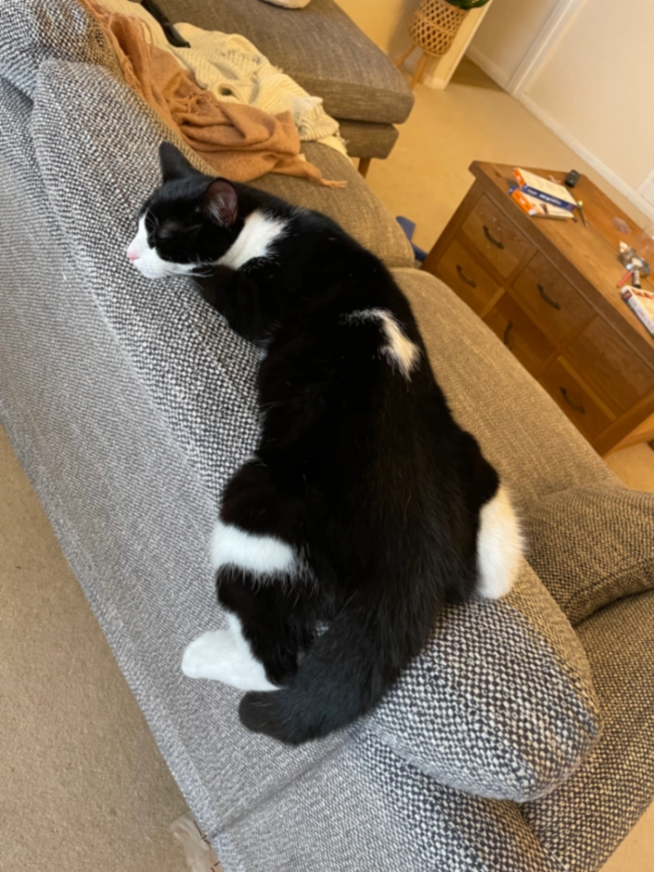 Silver - Badger Farm Road, Winchester