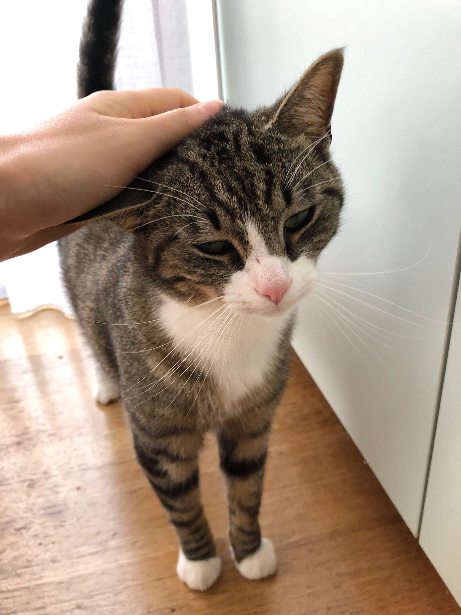 Jimmy - Aannemersstraat, Gent