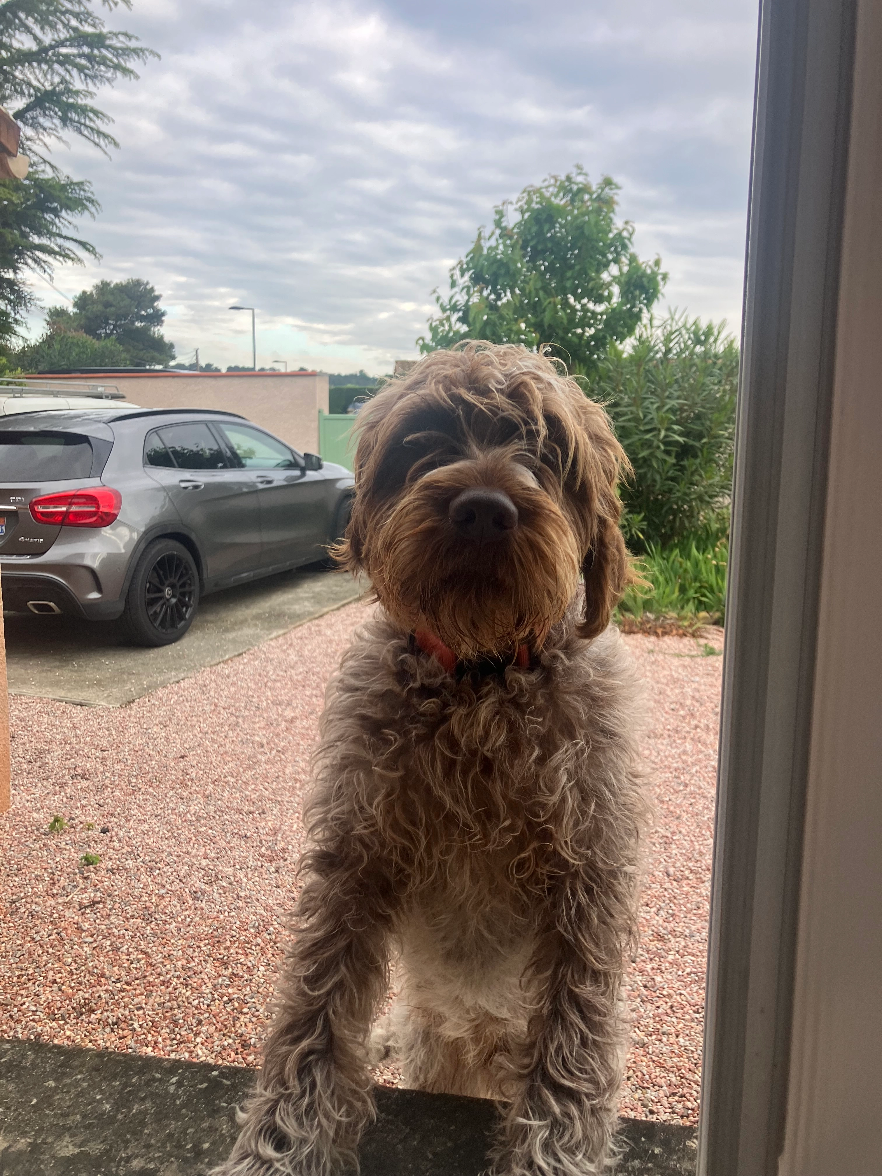 Volvo - 20 Chemin de Tournemire, Castres