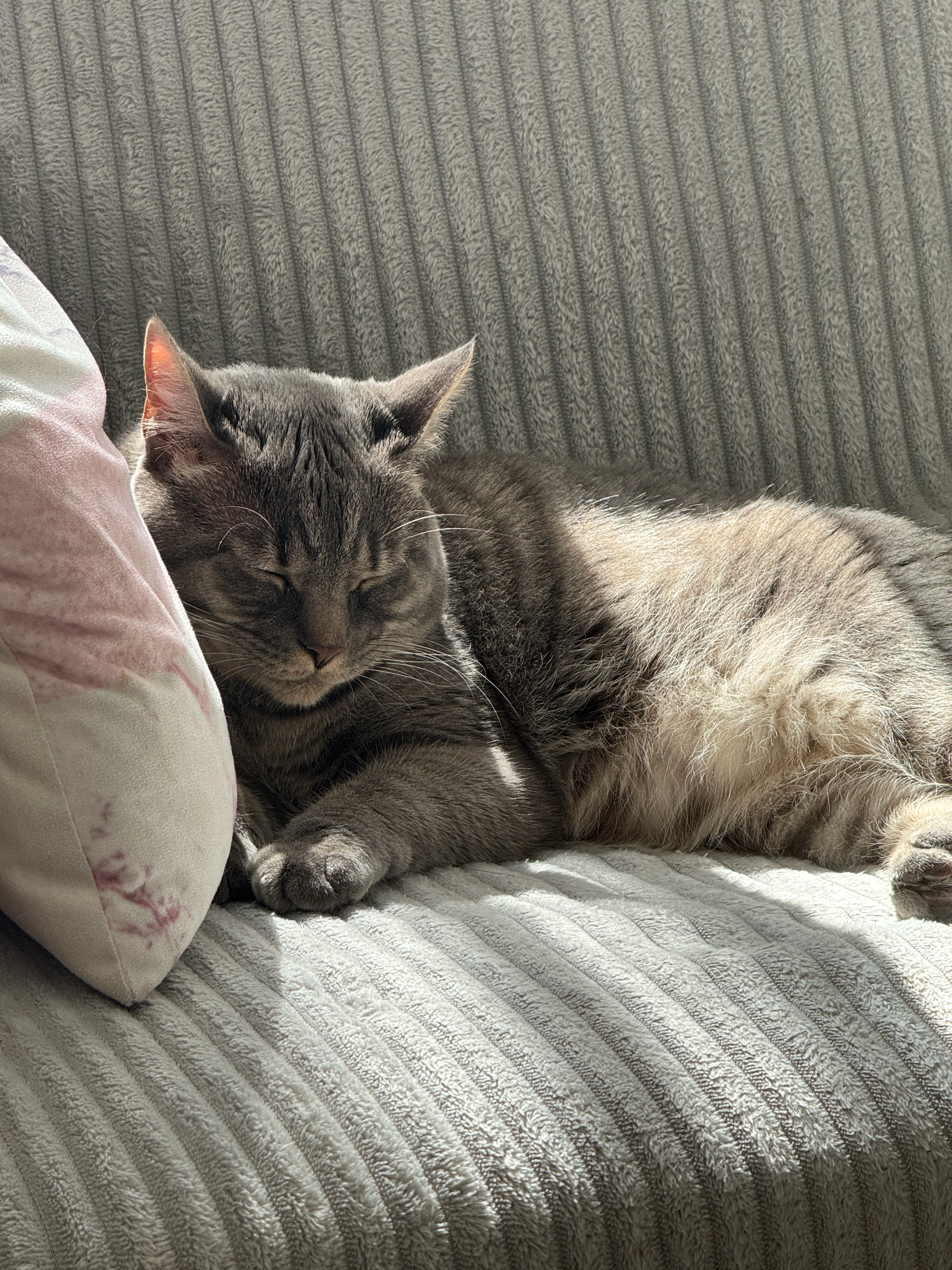 Fuyu - Benson Road, Newcastle upon Tyne