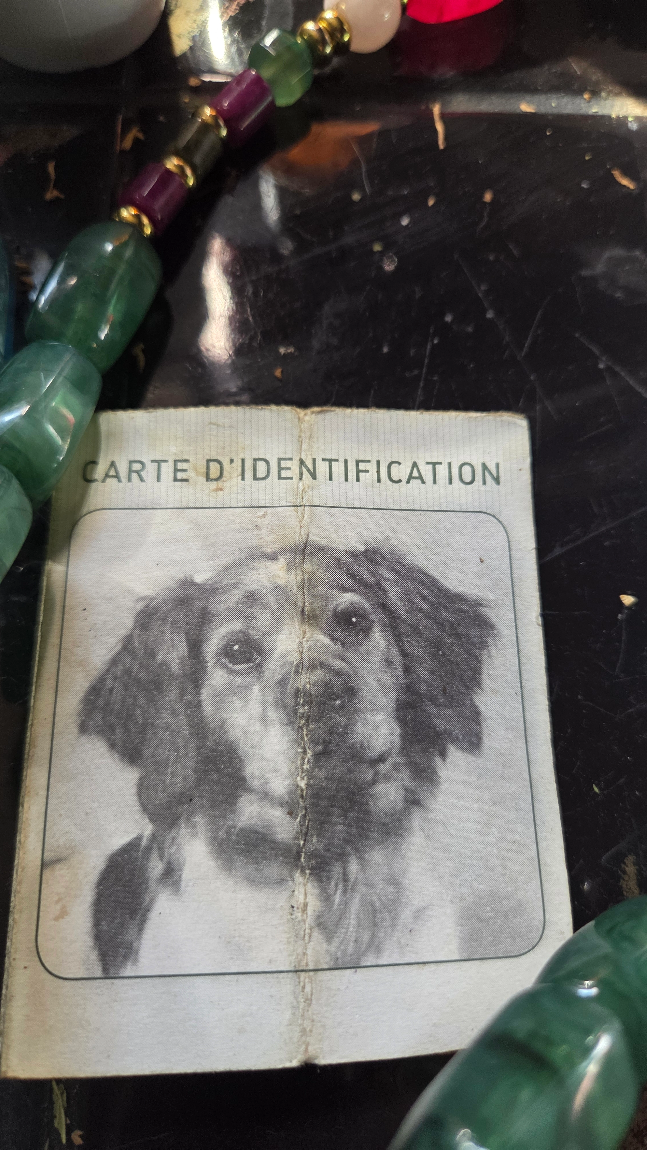 Leo - Rue de Saint-Dié, Strasbourg