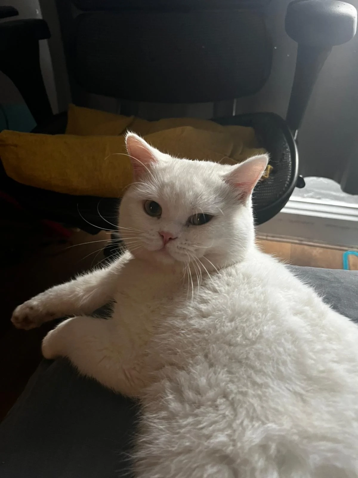 Mzungu - Sextant Road, Leicester