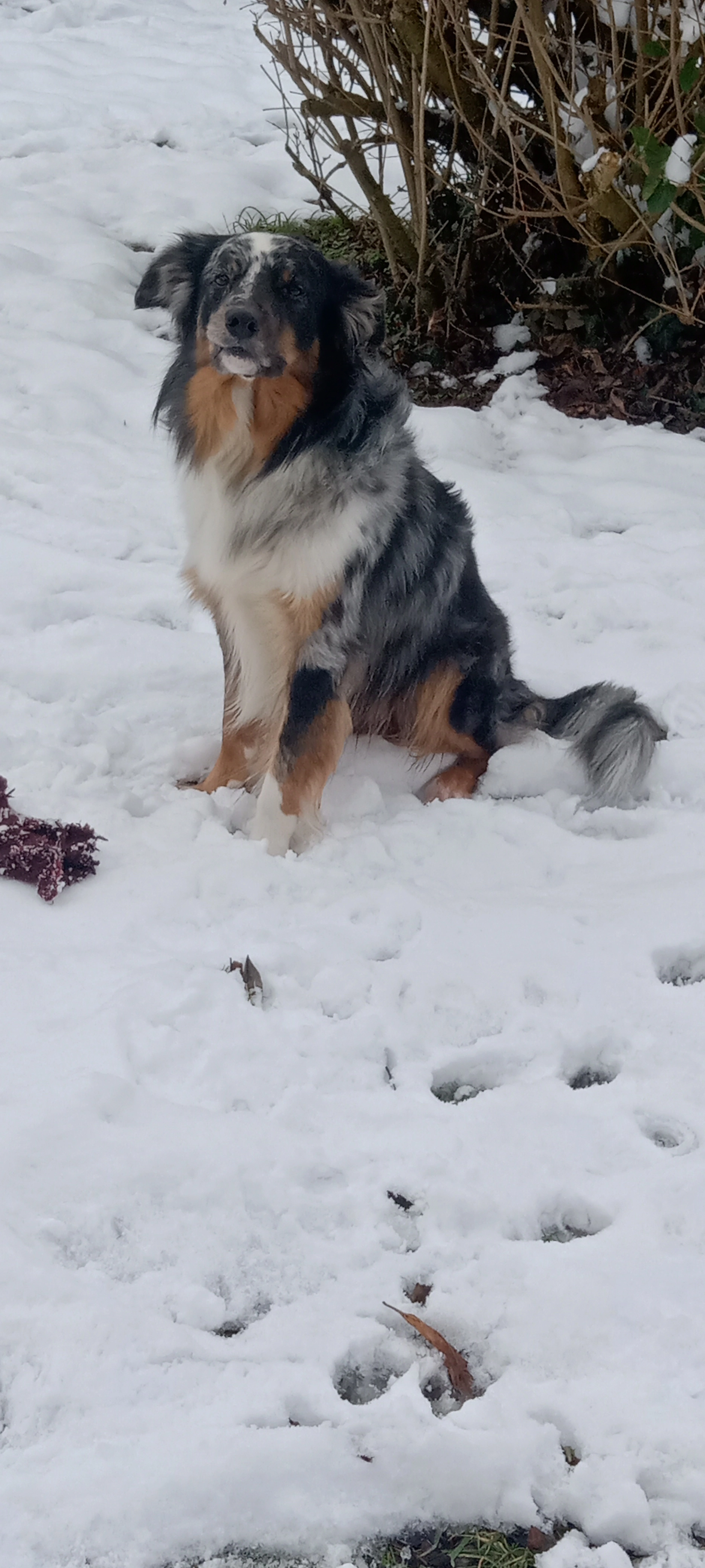 Heks - Rue de la Gare de Pringy, Annecy