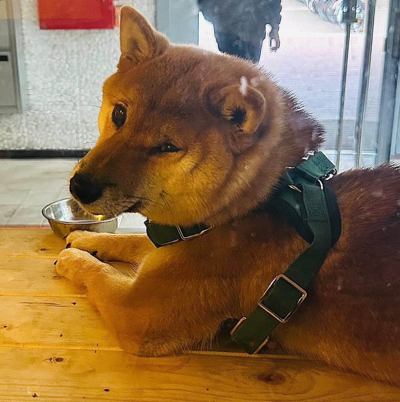 Lea - Kierberger Straße, Köln