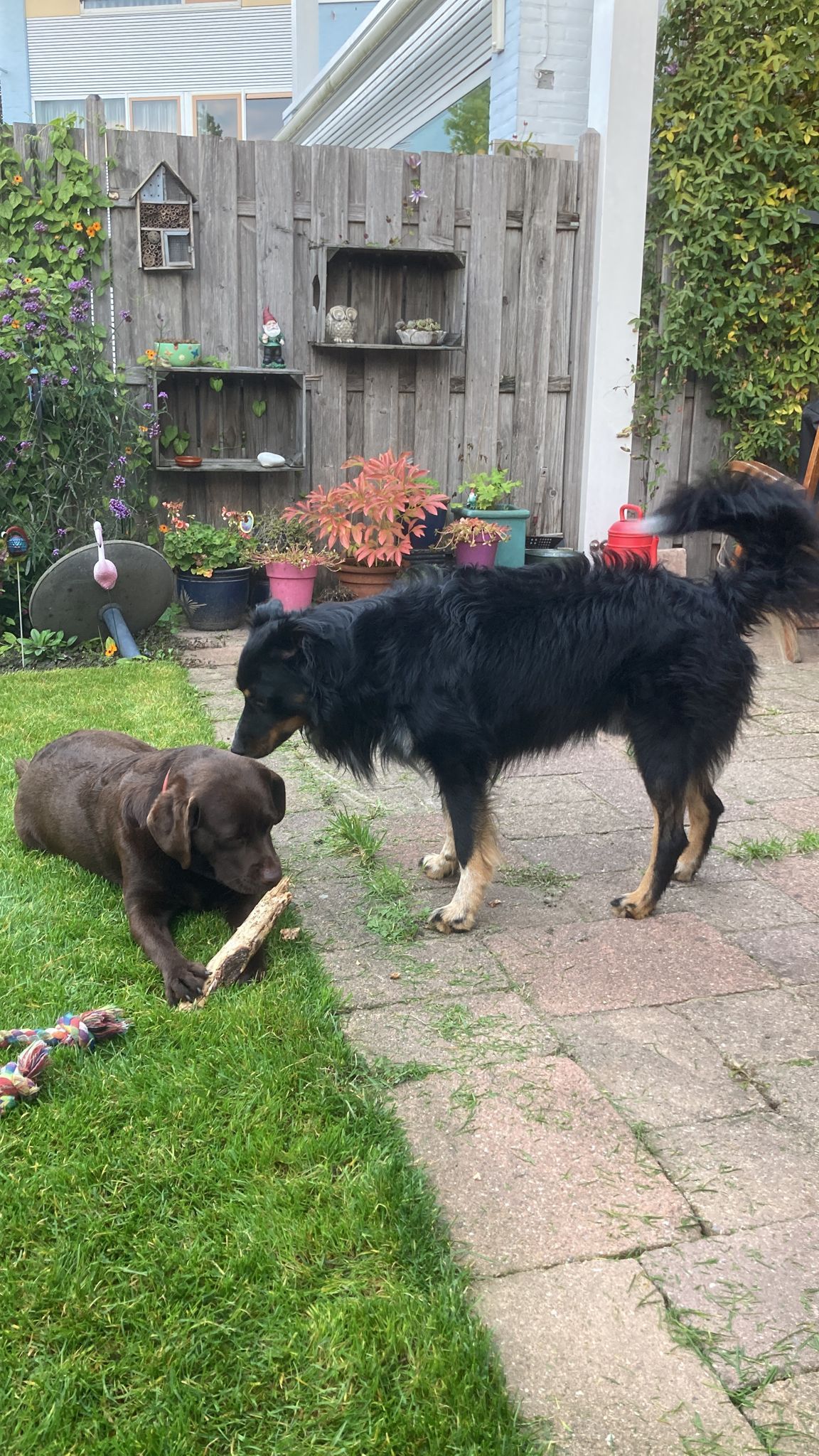 Sepp  - Utrechtseweg, De Bilt