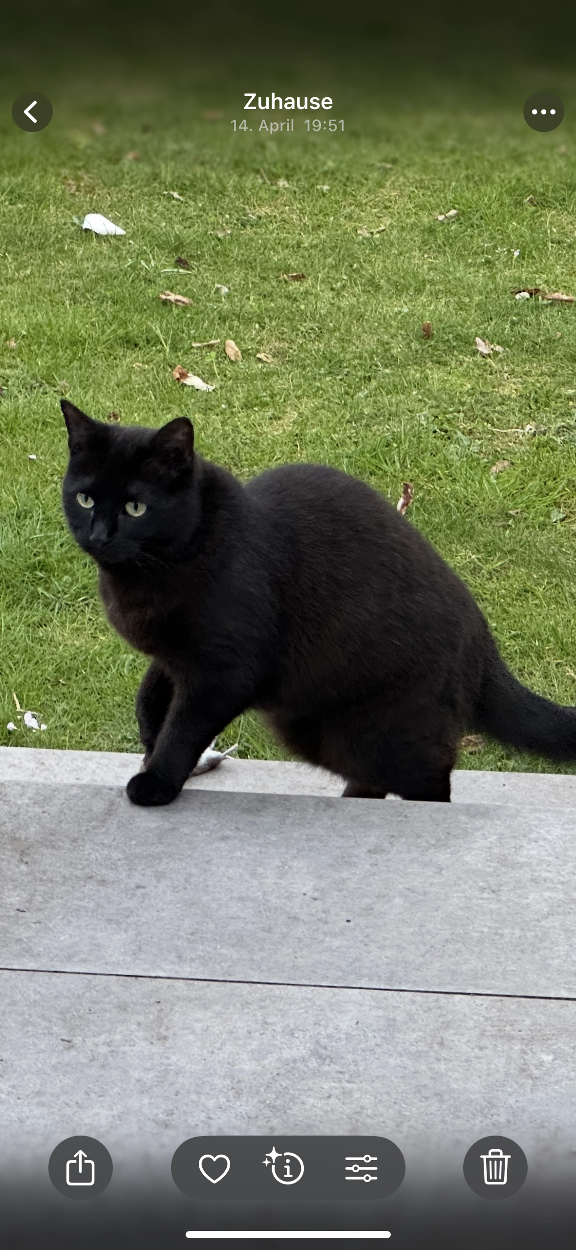 Peppy - Osterholzer Dorfstraße, Bremen