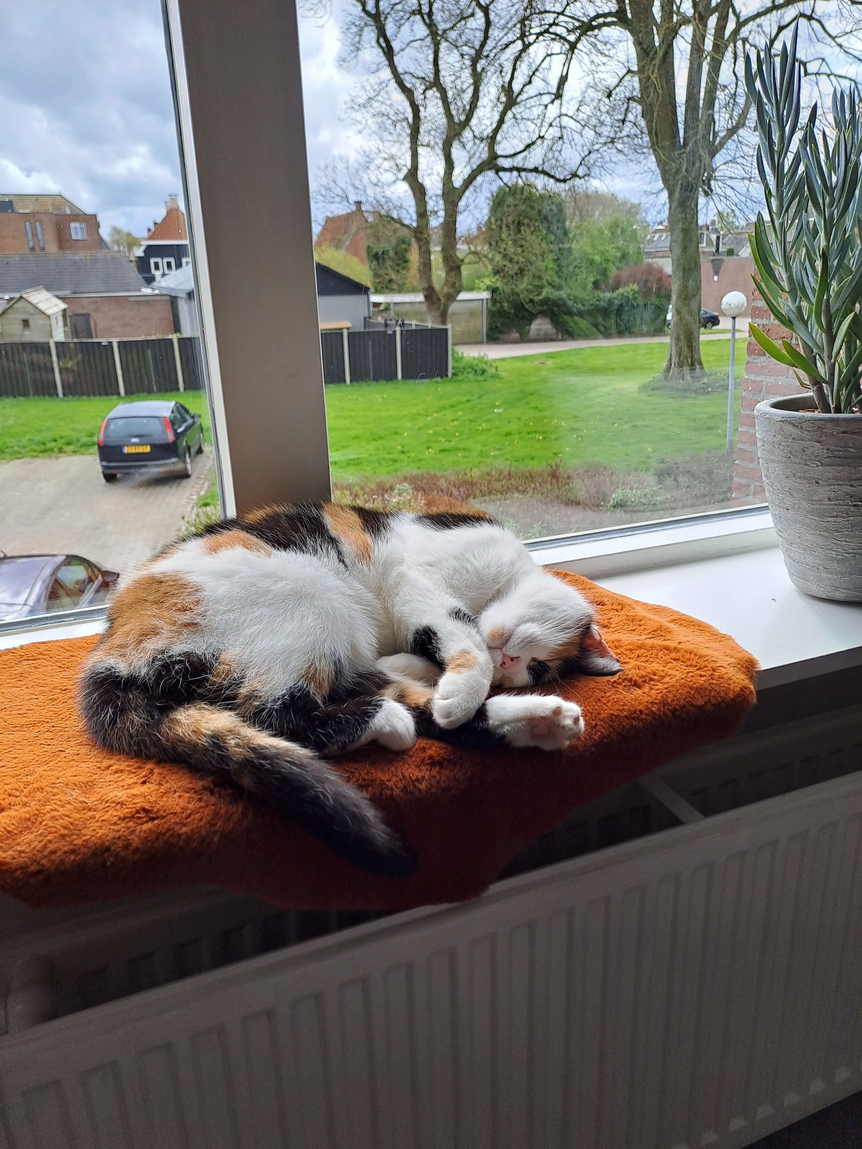 Noora - Willem Lodewijkstraat, Kollum