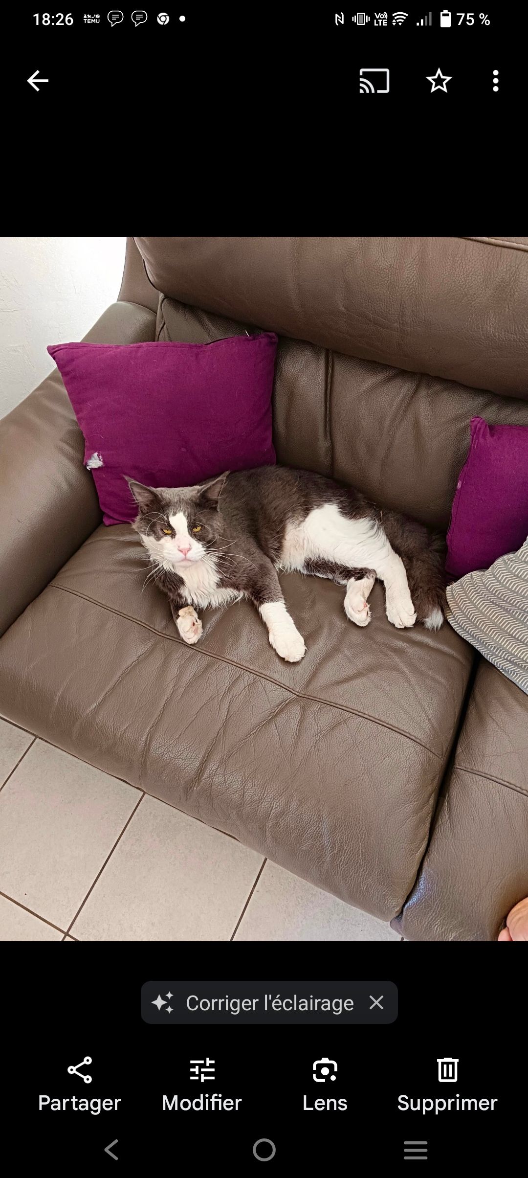 Taiwo  - Rue De L'europe, Magnicourt-en-Comte