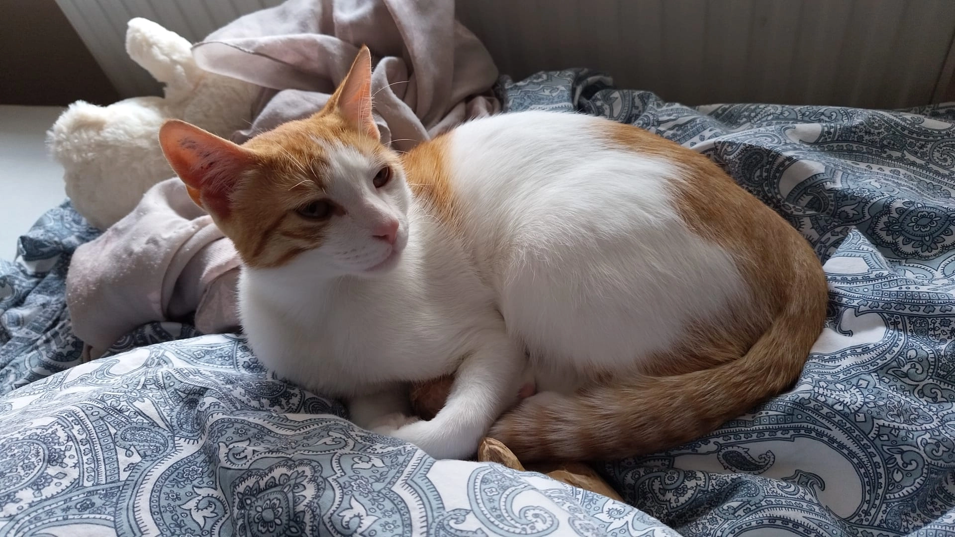 Pino - Elbinger Straße, Kaufbeuren