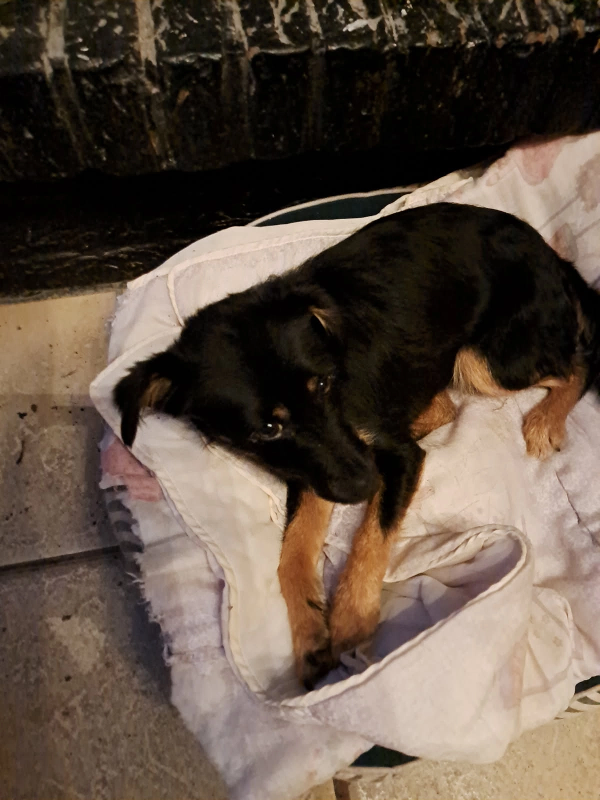 1ans - Place Du 19 Mars 1962, Rumilly-en-Cambrésis