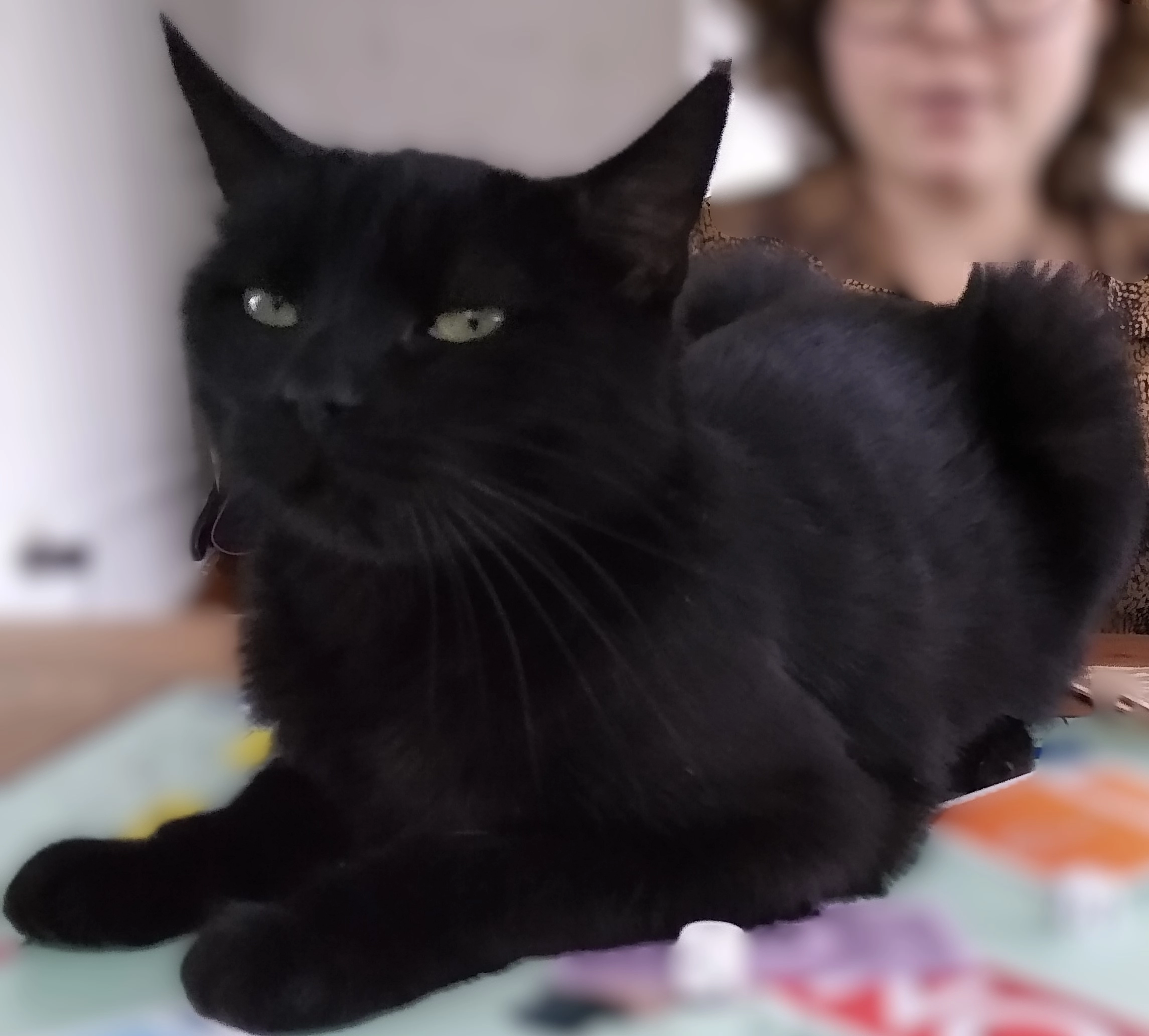 Fons - Bergensesteenweg 92, Halle