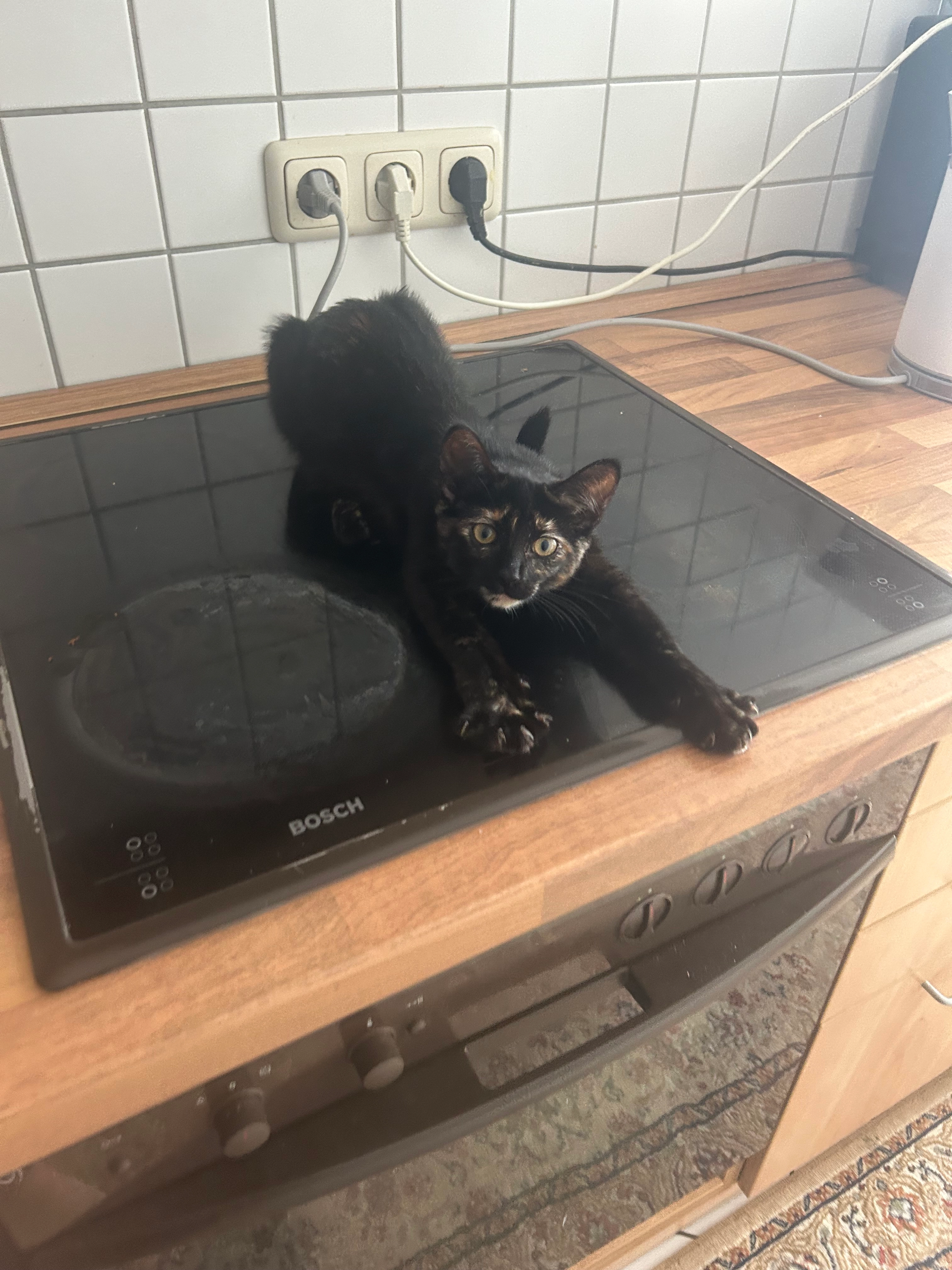 Djurdja - Riedstraße, Frankfurt am Main