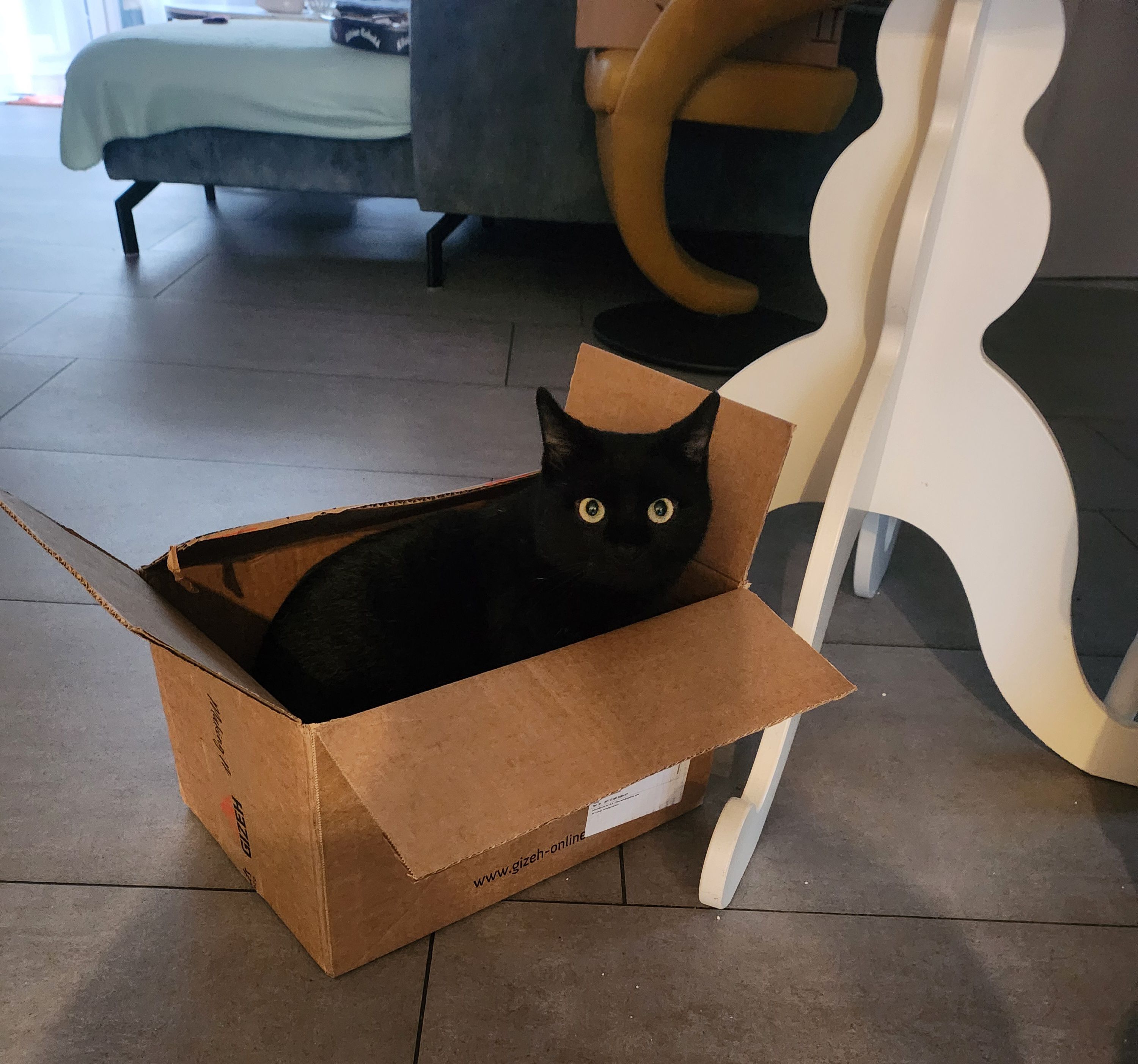 Blacky  - Ziegelstraße, Wolpertshausen