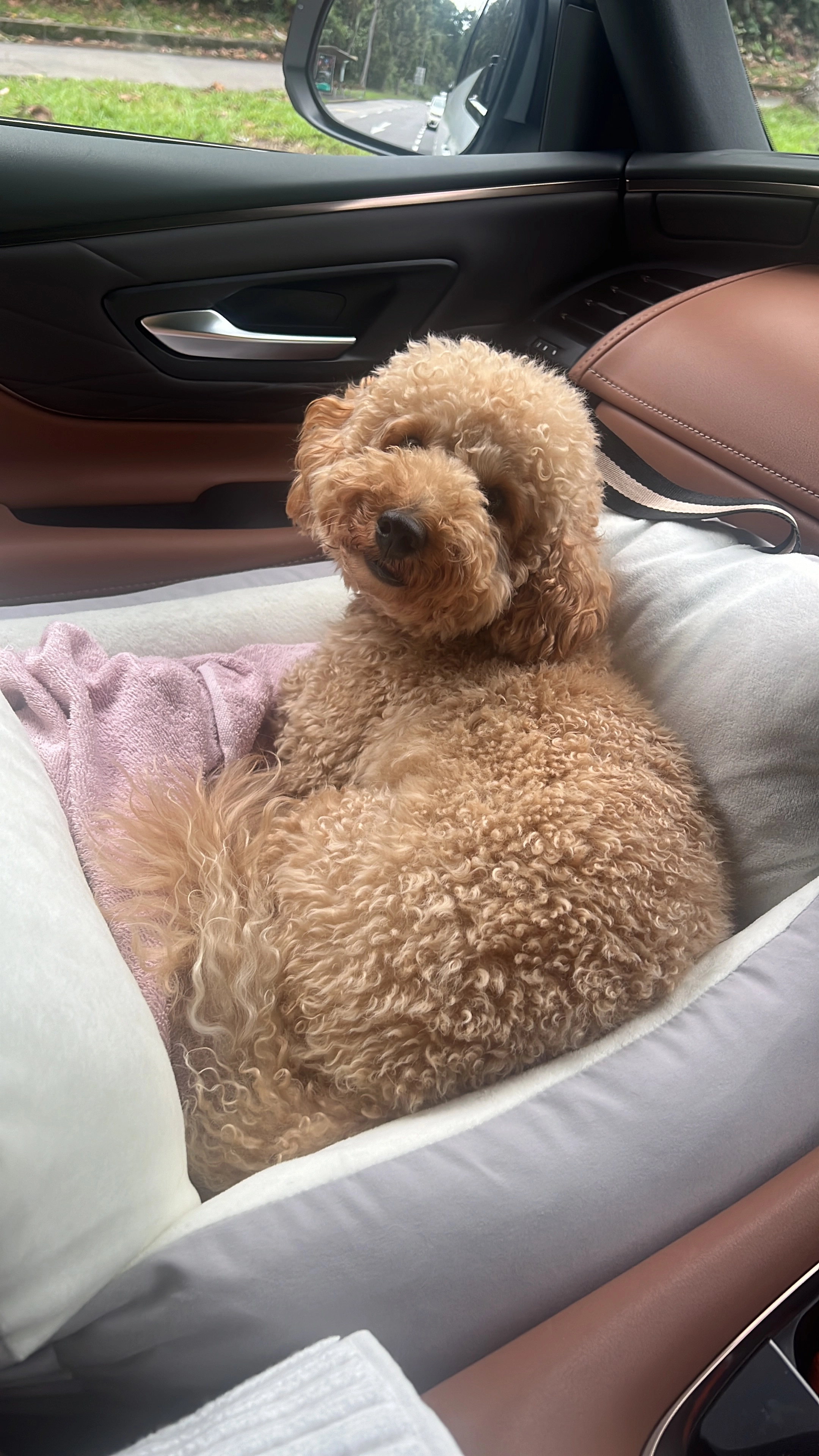 Kobe - Choa Chu Kang Avenue 2, Singapore