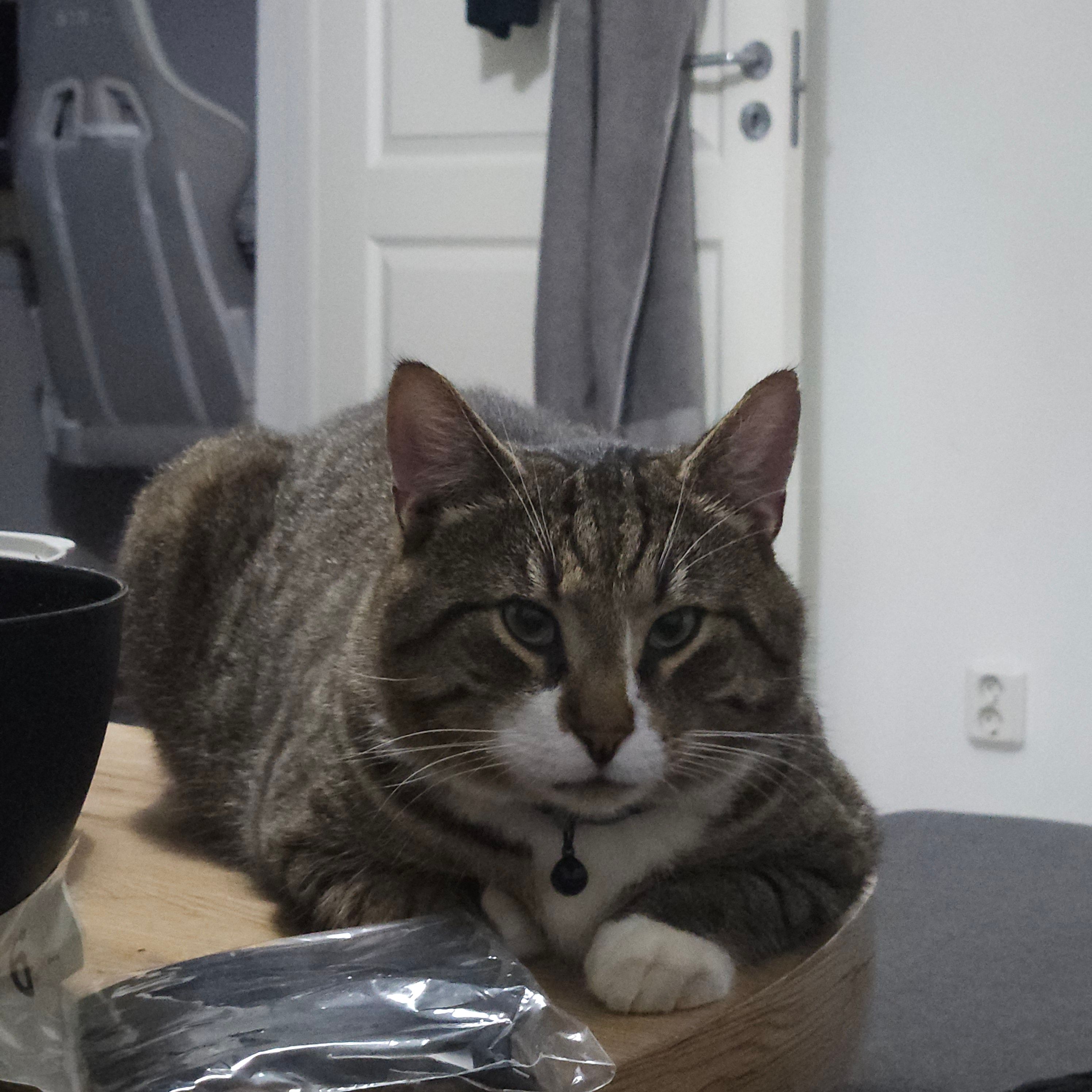 Chonken - Storgatan 7, Sösdala