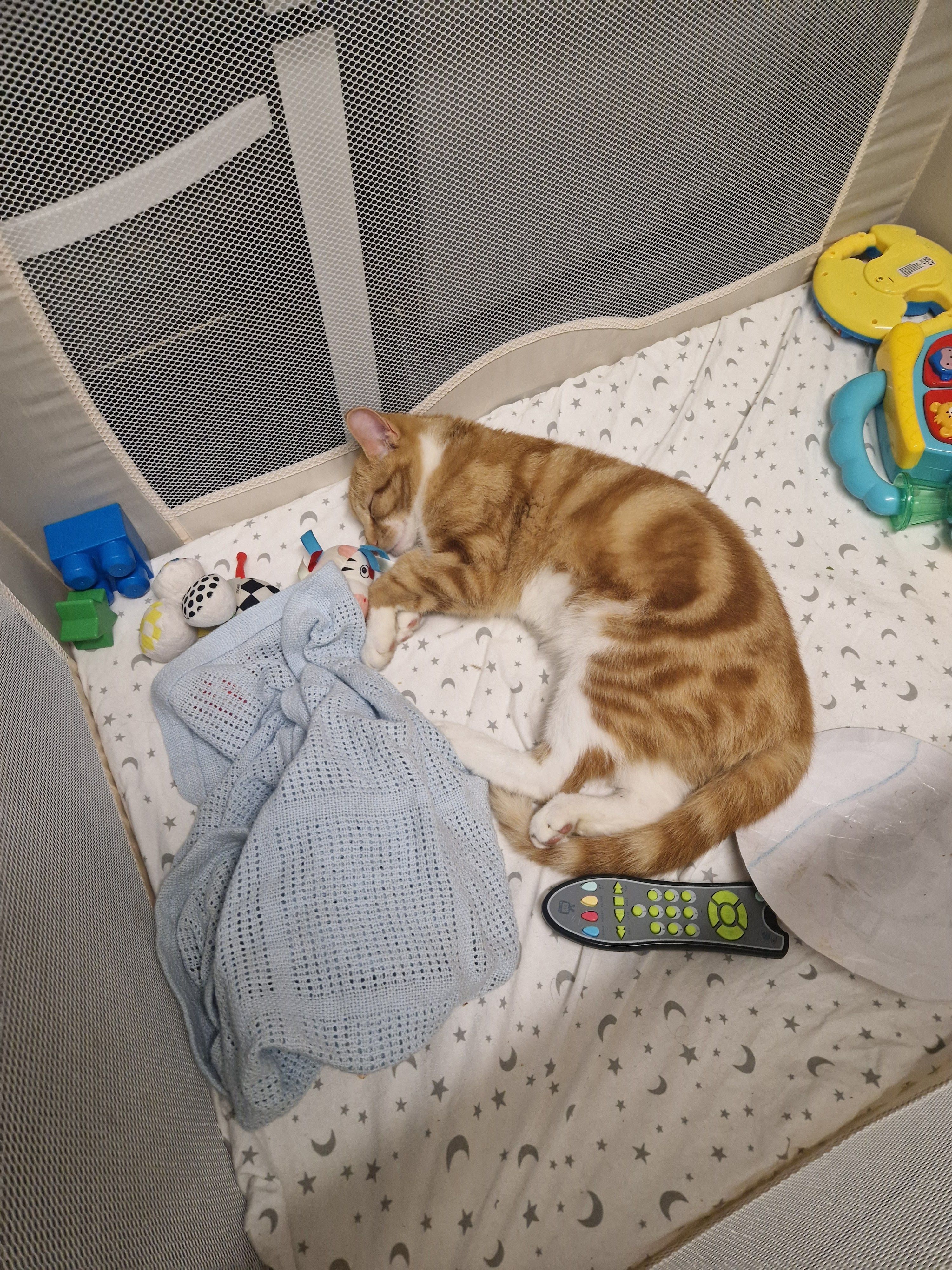 Beans - Riverside, Boston