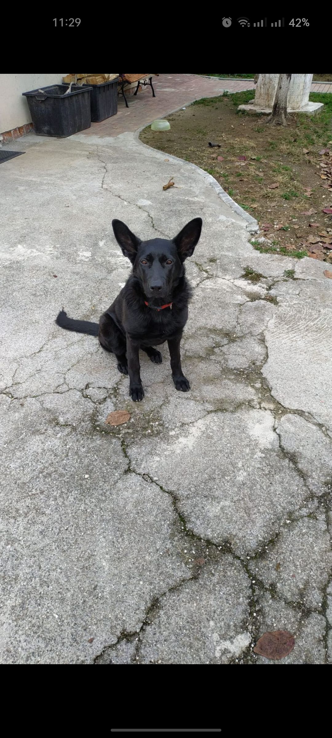 Eve - Strada Costa, Ghedi