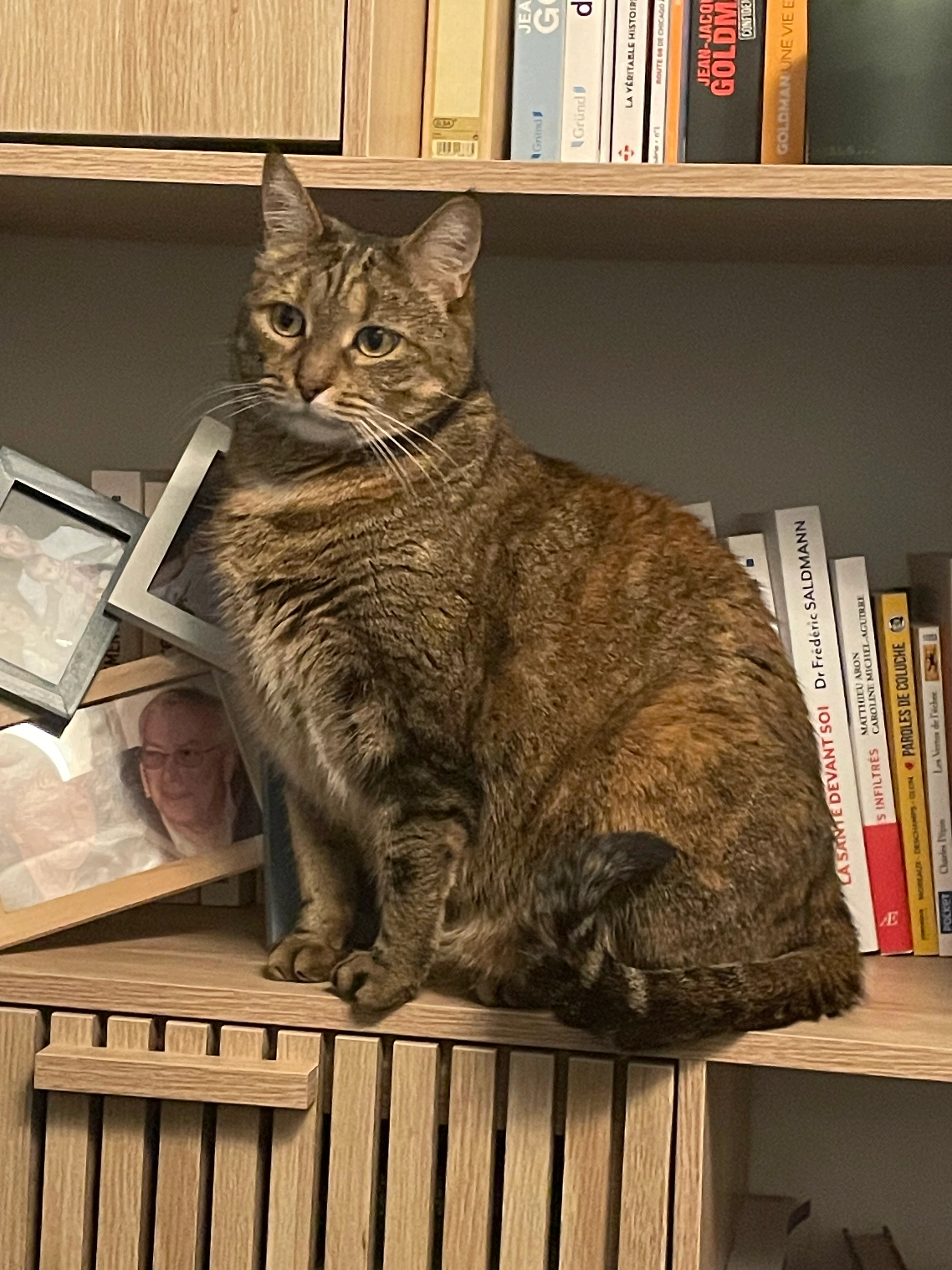 Happy - 11 Chemin de Mezeau, Poitiers