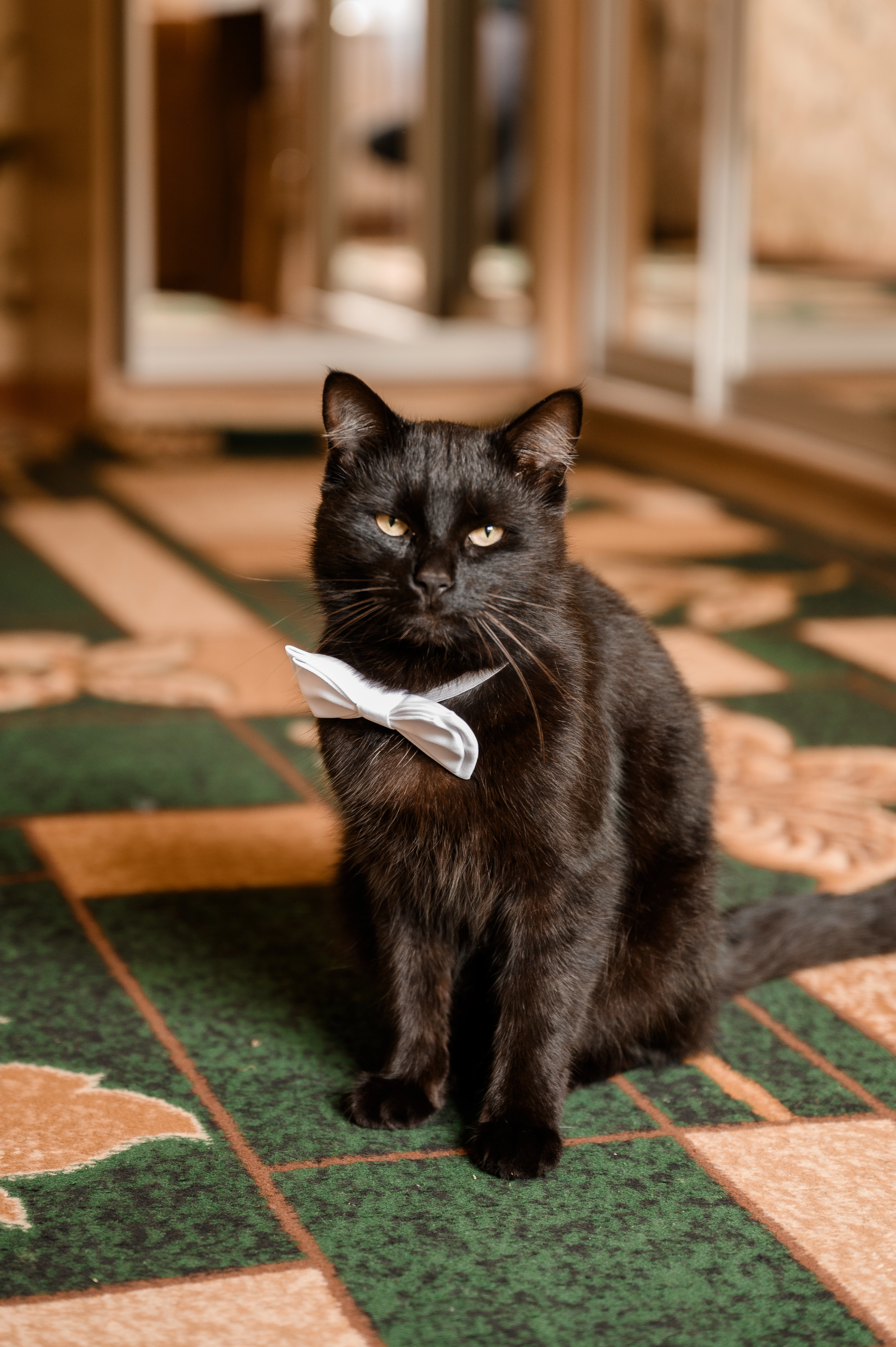 Пончик - Scandinavian Street, Lutsk