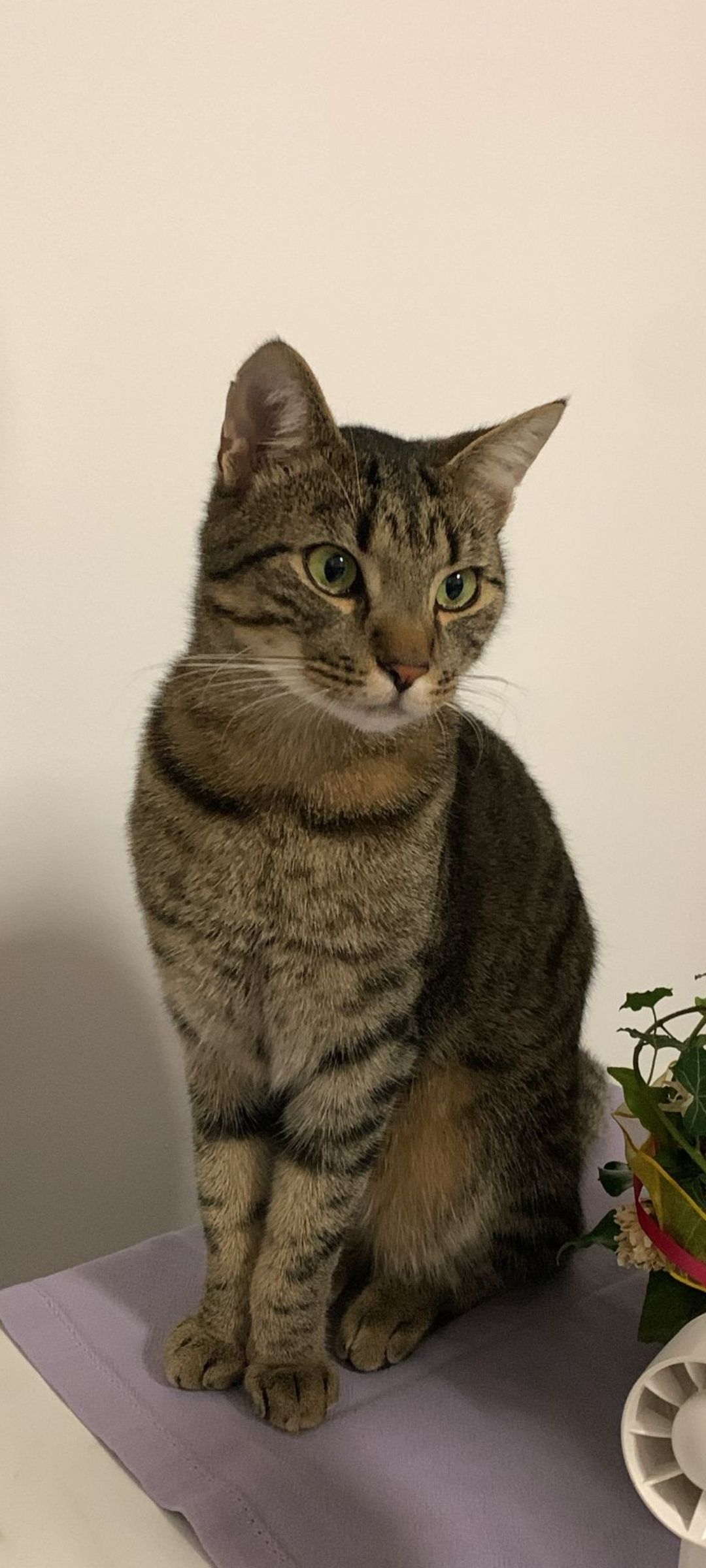 Piko - Schwabmünchner Straße 1, Klosterlechfeld