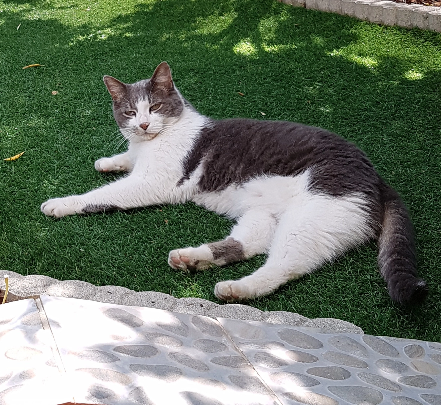 Gribouille - Rue Micheline Ostermeyer, Béziers