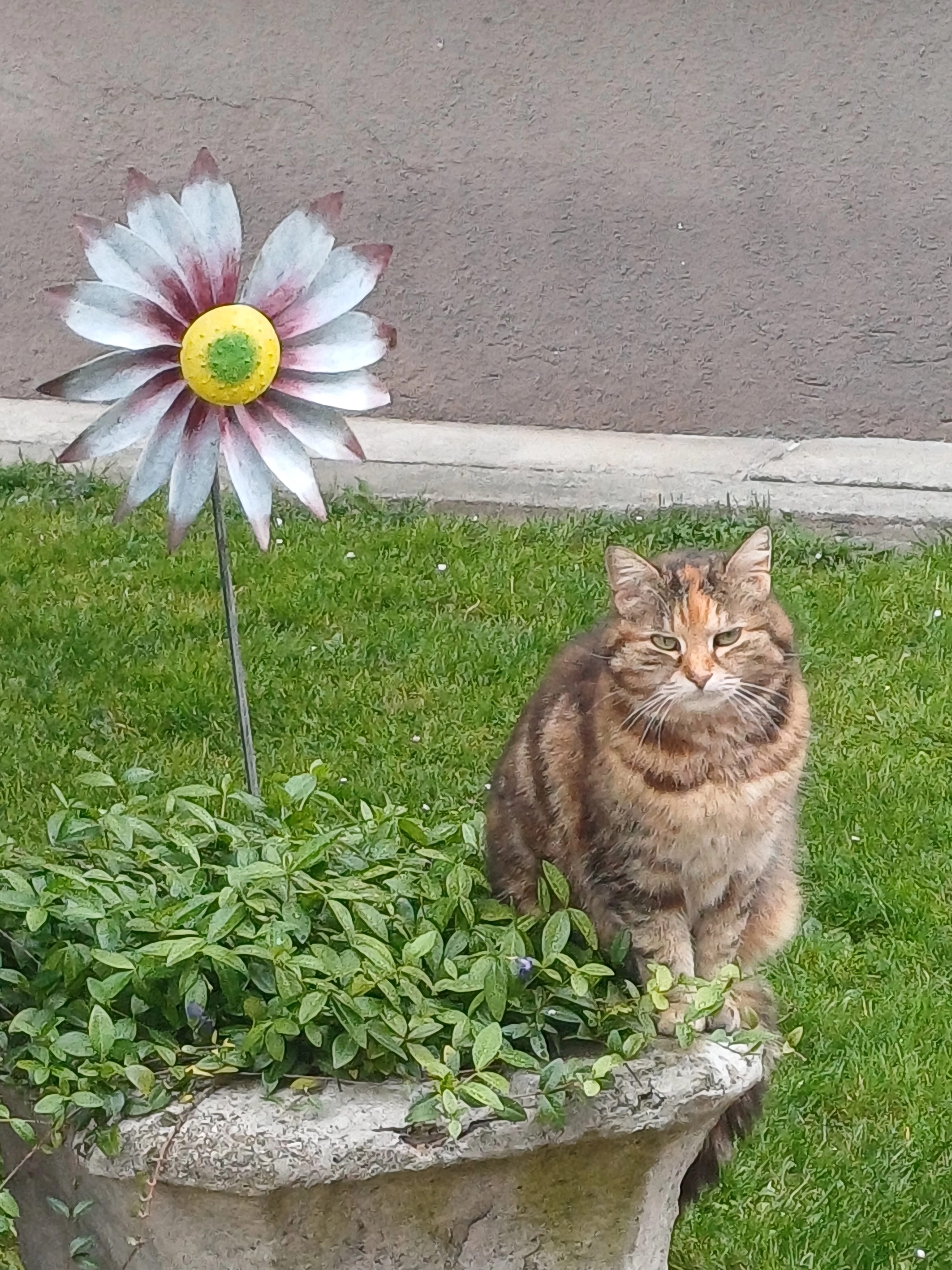 Mia - Flößerweg 13, Timelkam