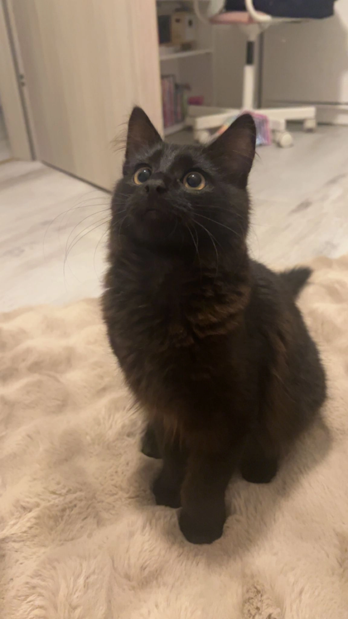 Shadow - Straße Der Befreiung, Gröditz