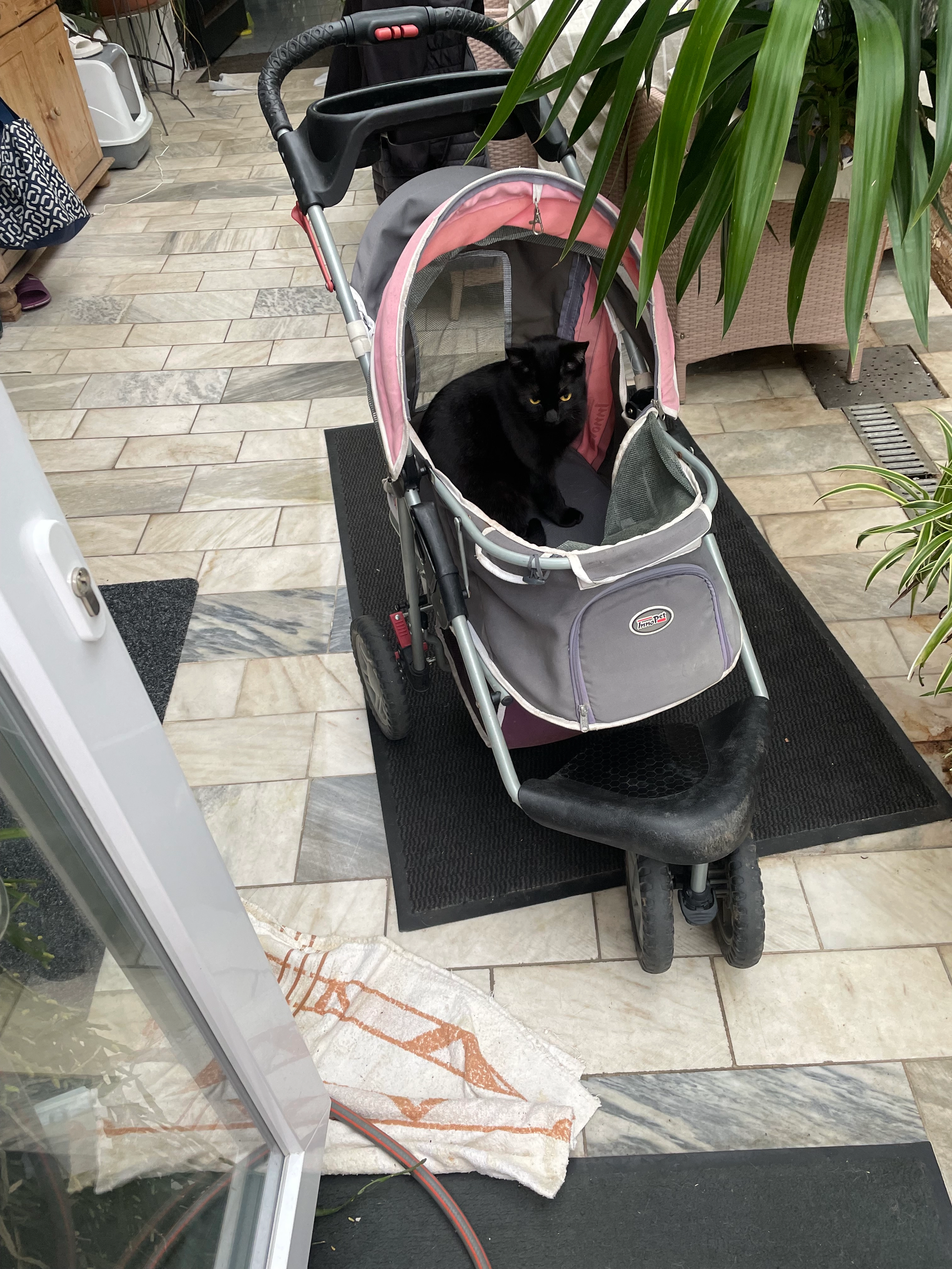 Teufel - Leopoldstraße, Plankstadt