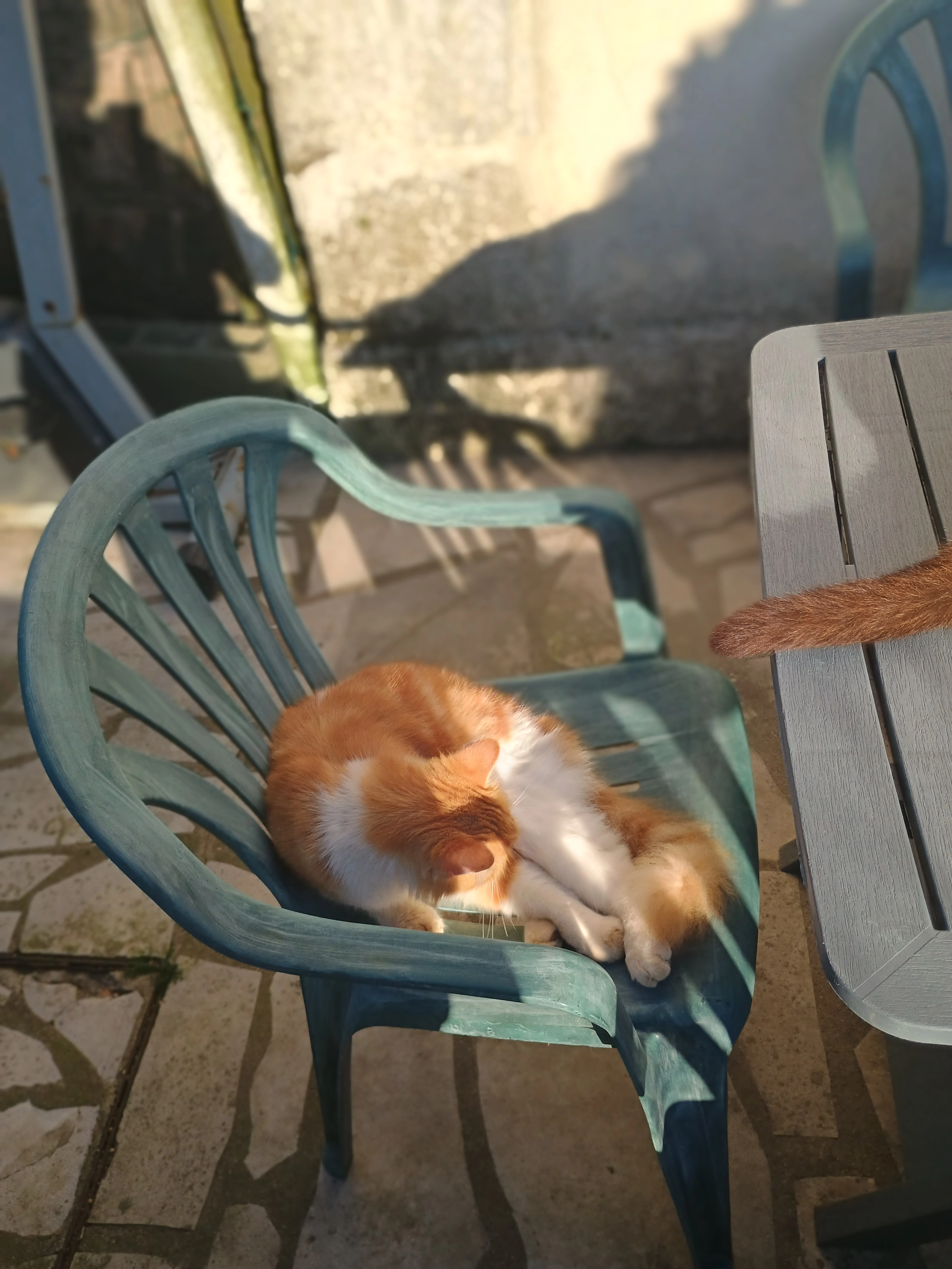 Snouky  - 1 Rue Jean Moulin, Les Velluire-sur-Vendée