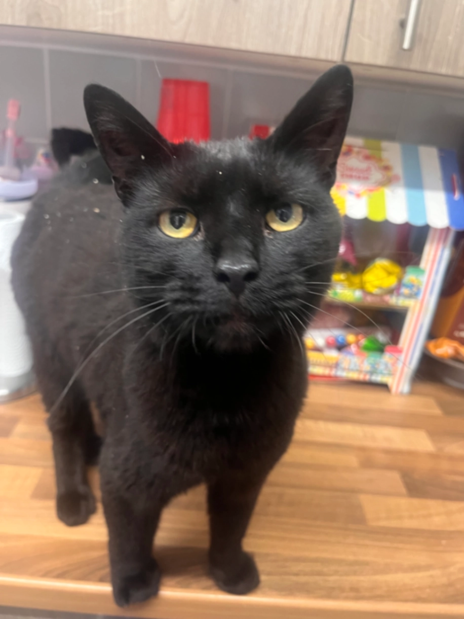 Benjamin - E13 0, London