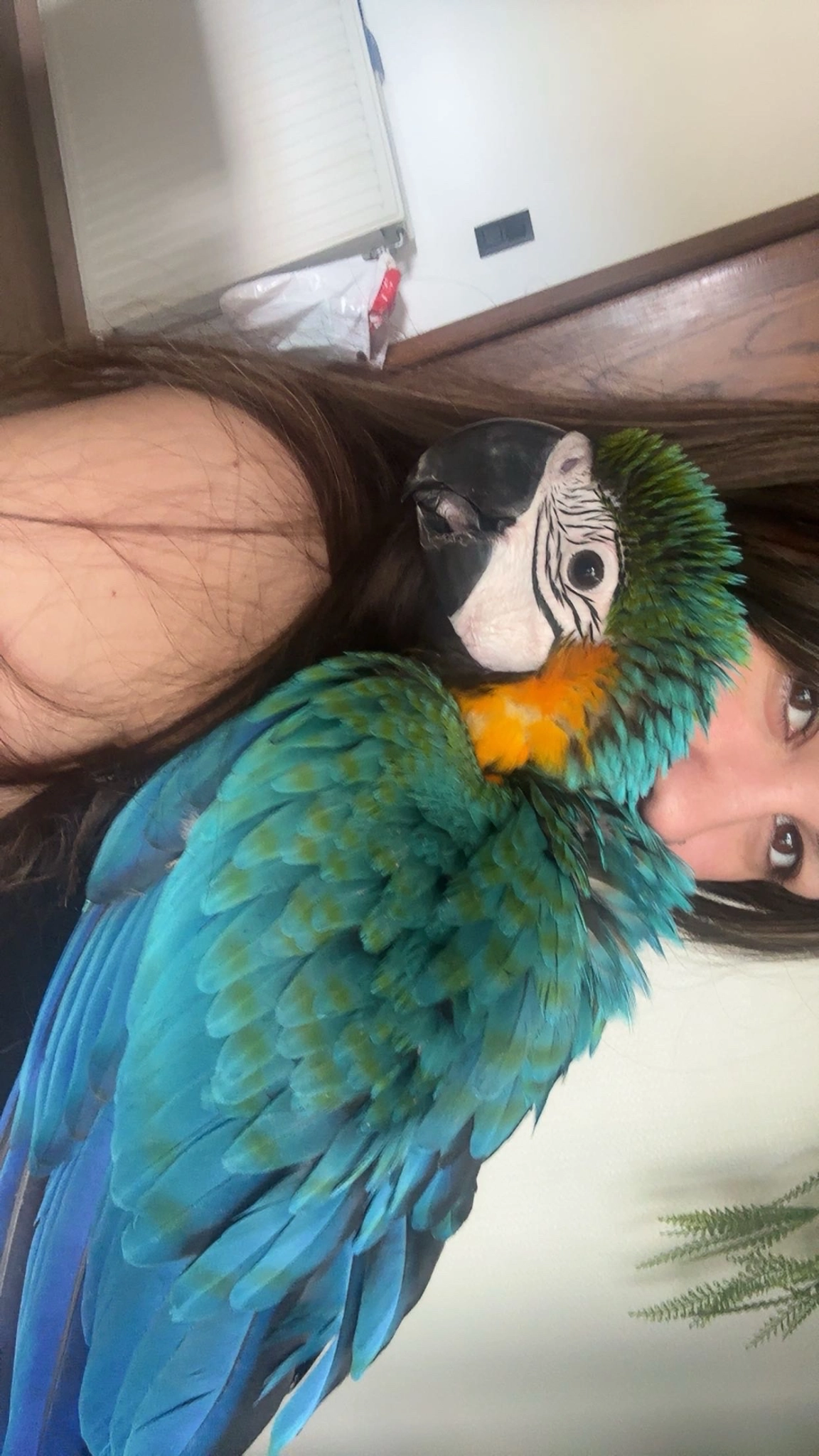 Rio - Caetsbeek, Genk